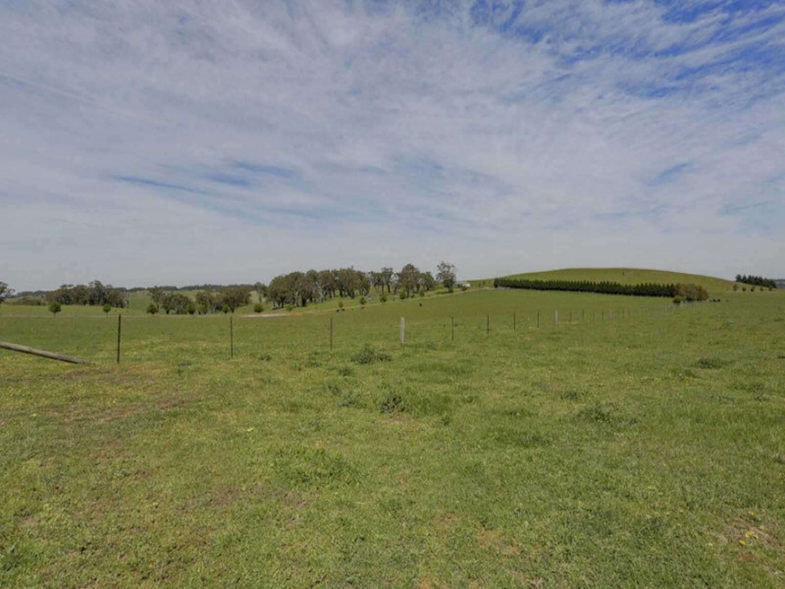Bibby's Lane Moss Vale Bibby's Lane Moss Vale