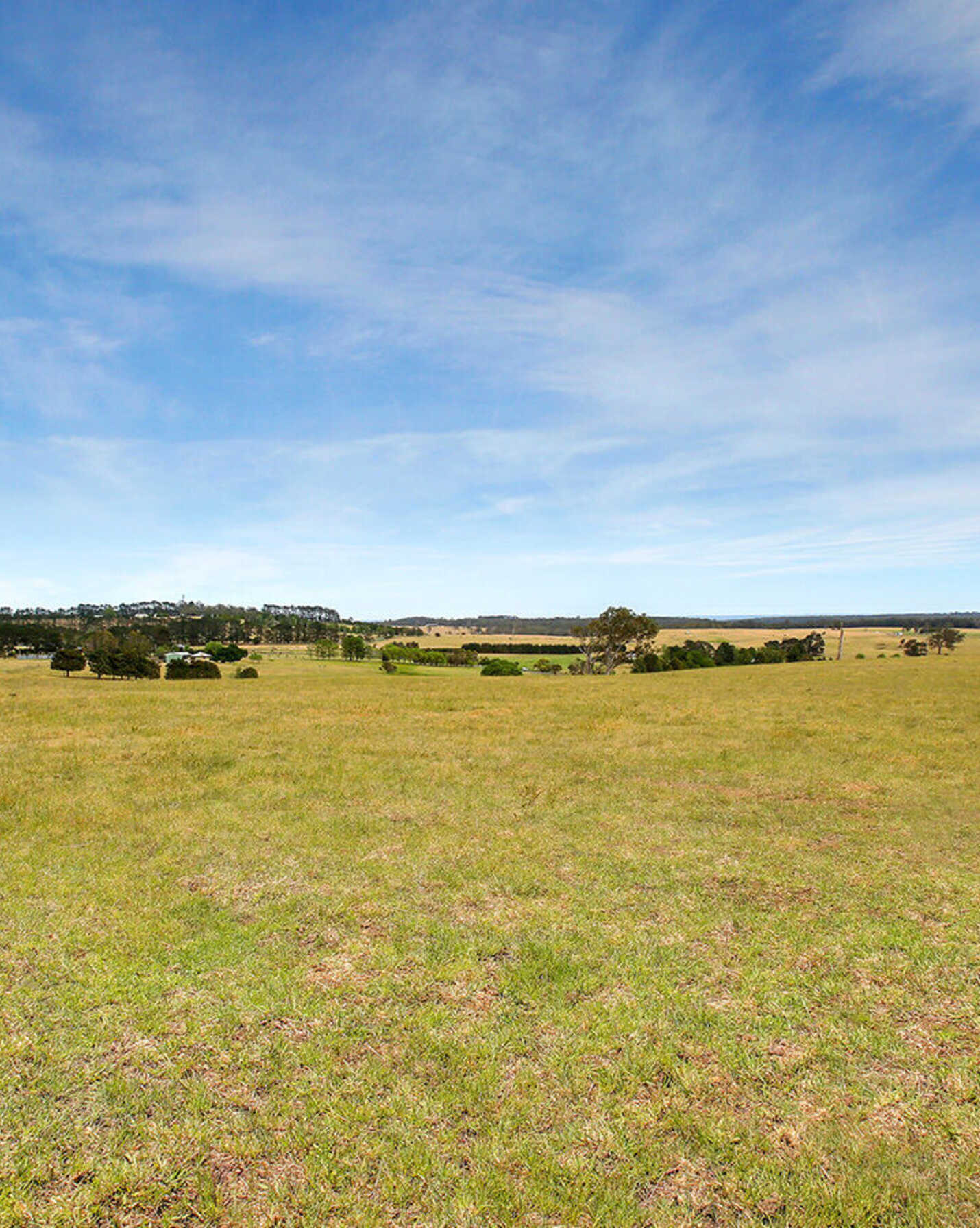 Waterloo Canyonleigh Road Sutton Forest, Forest - Image 1