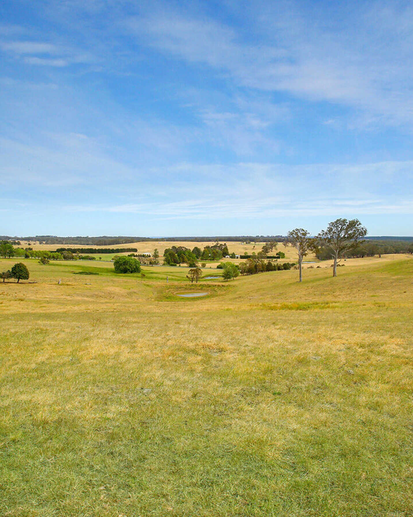 Waterloo Canyonleigh Road Sutton Forest, Forest - Thumbnail 2