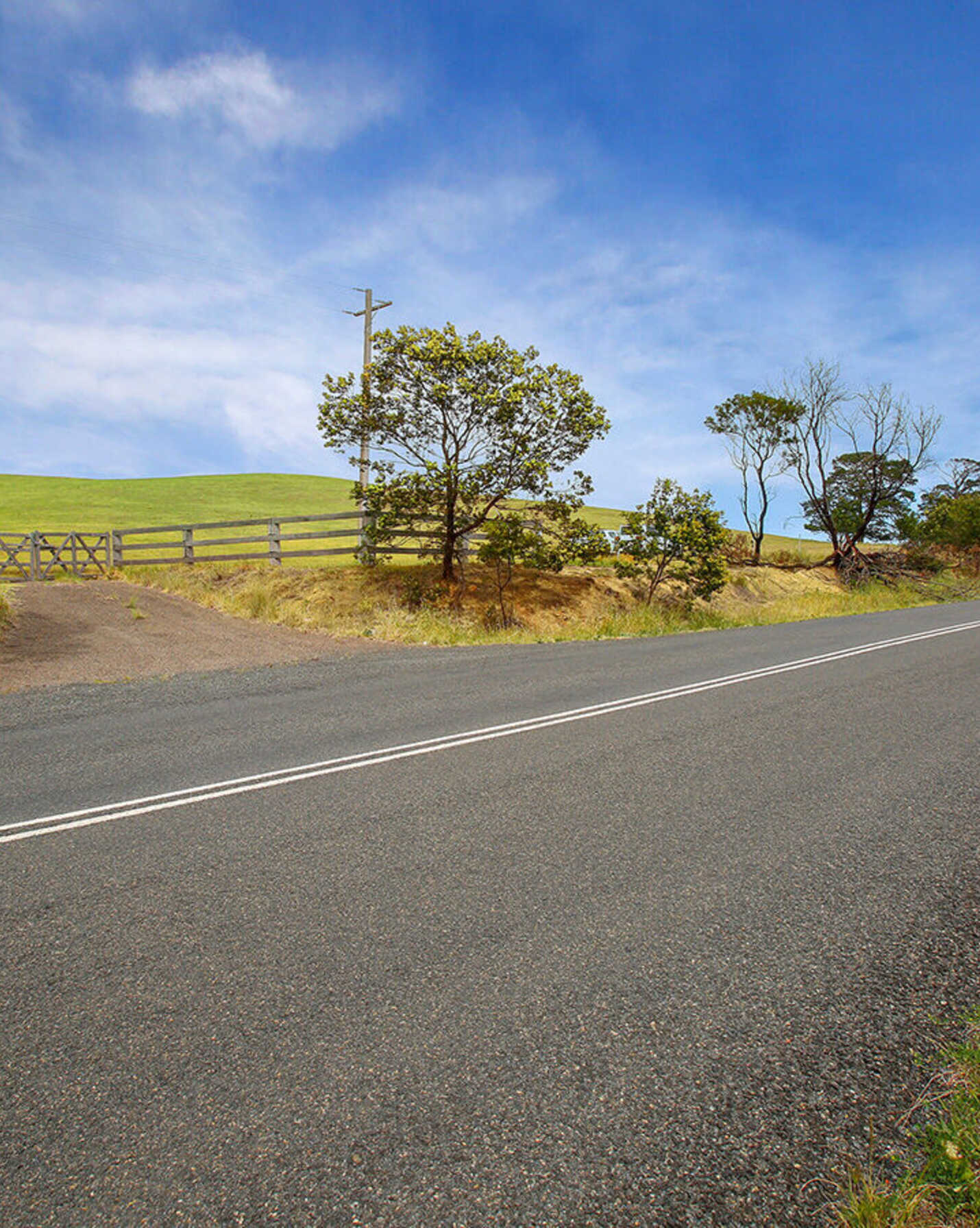 Waterloo Canyonleigh Road Sutton Forest, Forest - Thumbnail 7