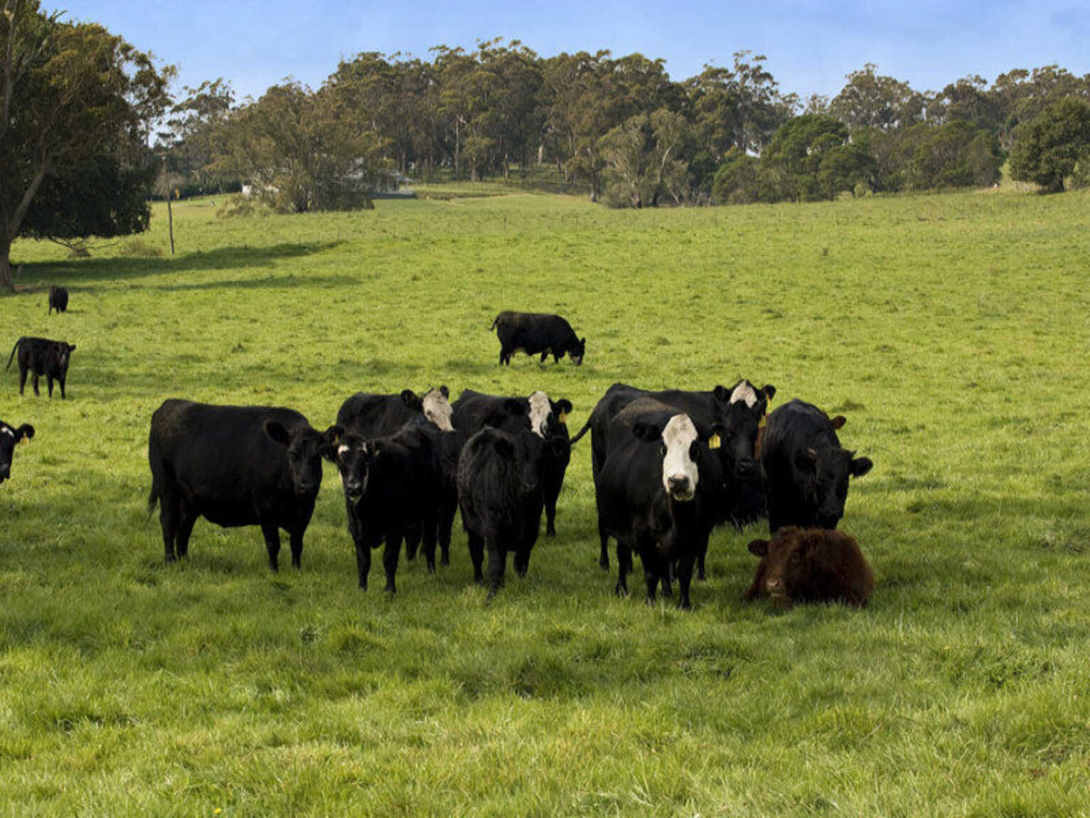 674 'Eureka Pines' Nowra Road Moss Vale 674 'Eureka Pines' Nowra Road Moss Vale
