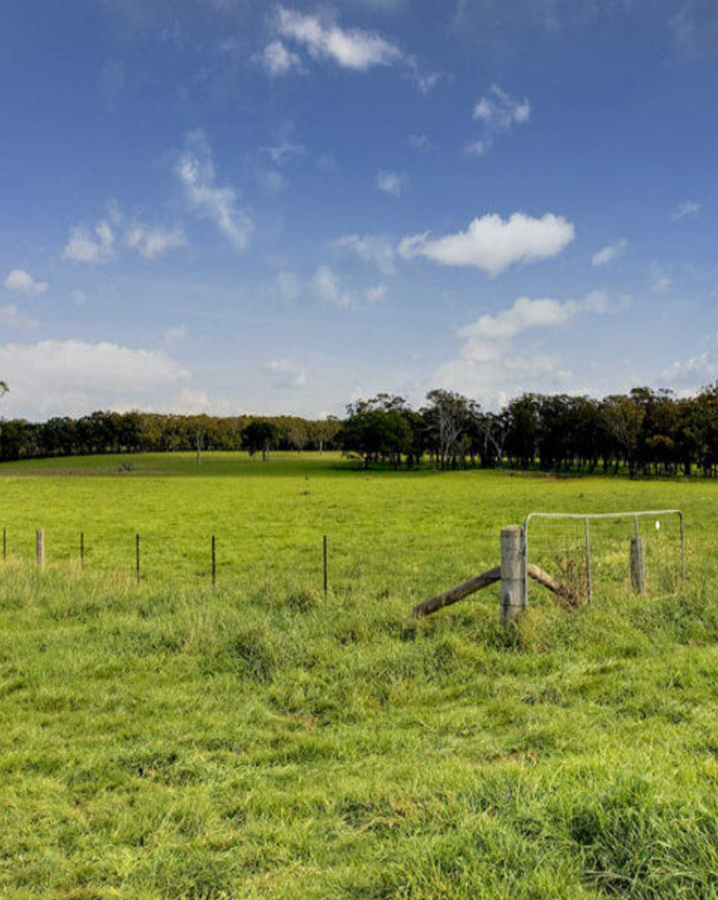 674 'Eureka Pines' Nowra Road Moss Vale, Vale - Thumbnail 2
