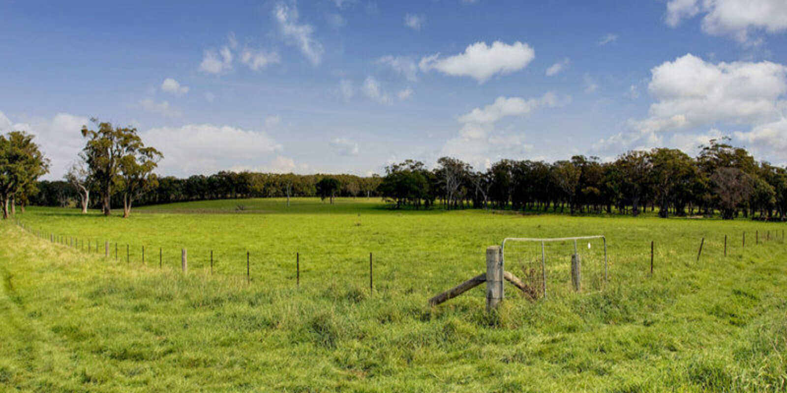 674 'Eureka Pines' Nowra Road Moss Vale 674 'Eureka Pines' Nowra Road Moss Vale