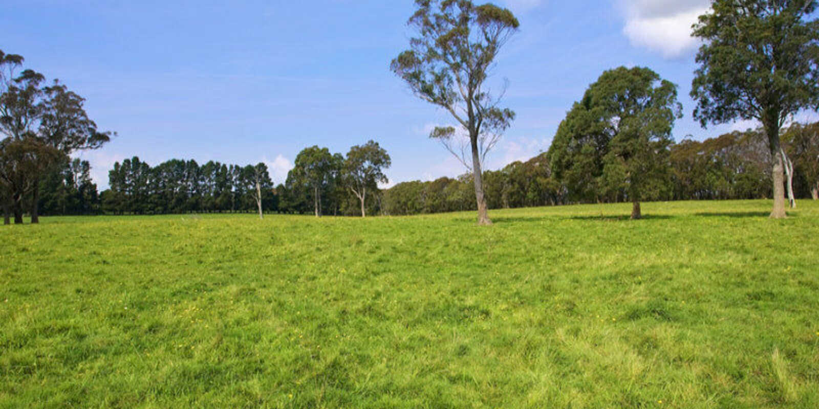 674 'Eureka Pines' Nowra Road Moss Vale 674 'Eureka Pines' Nowra Road Moss Vale