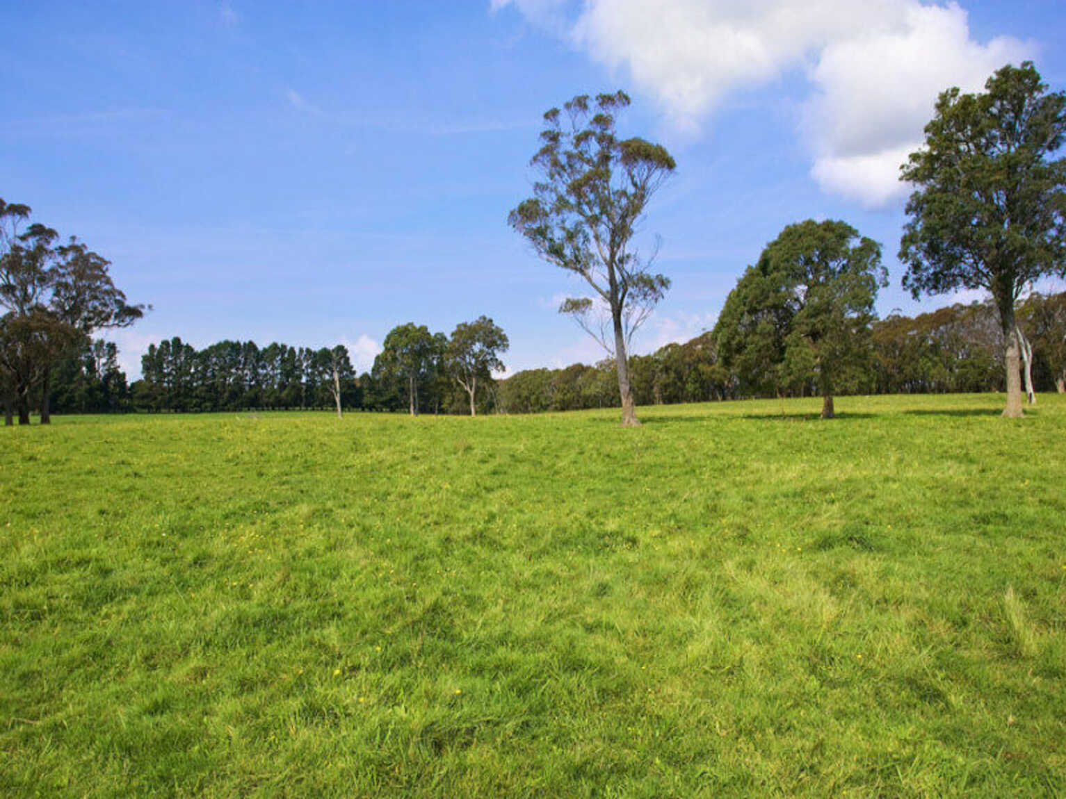 674 'Eureka Pines' Nowra Road Moss Vale 674 'Eureka Pines' Nowra Road Moss Vale