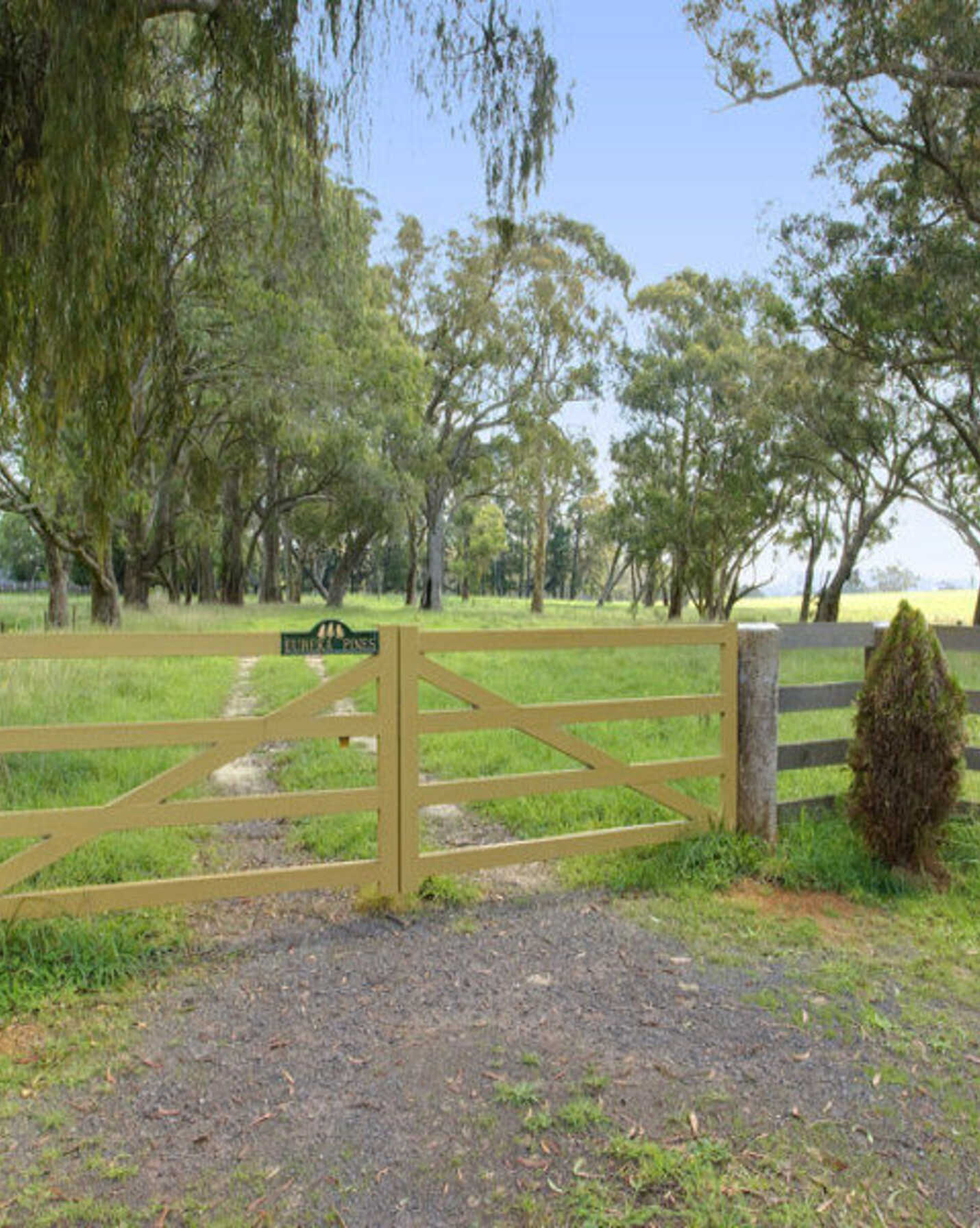 674 'Eureka Pines' Nowra Road Moss Vale, Vale - Thumbnail 4