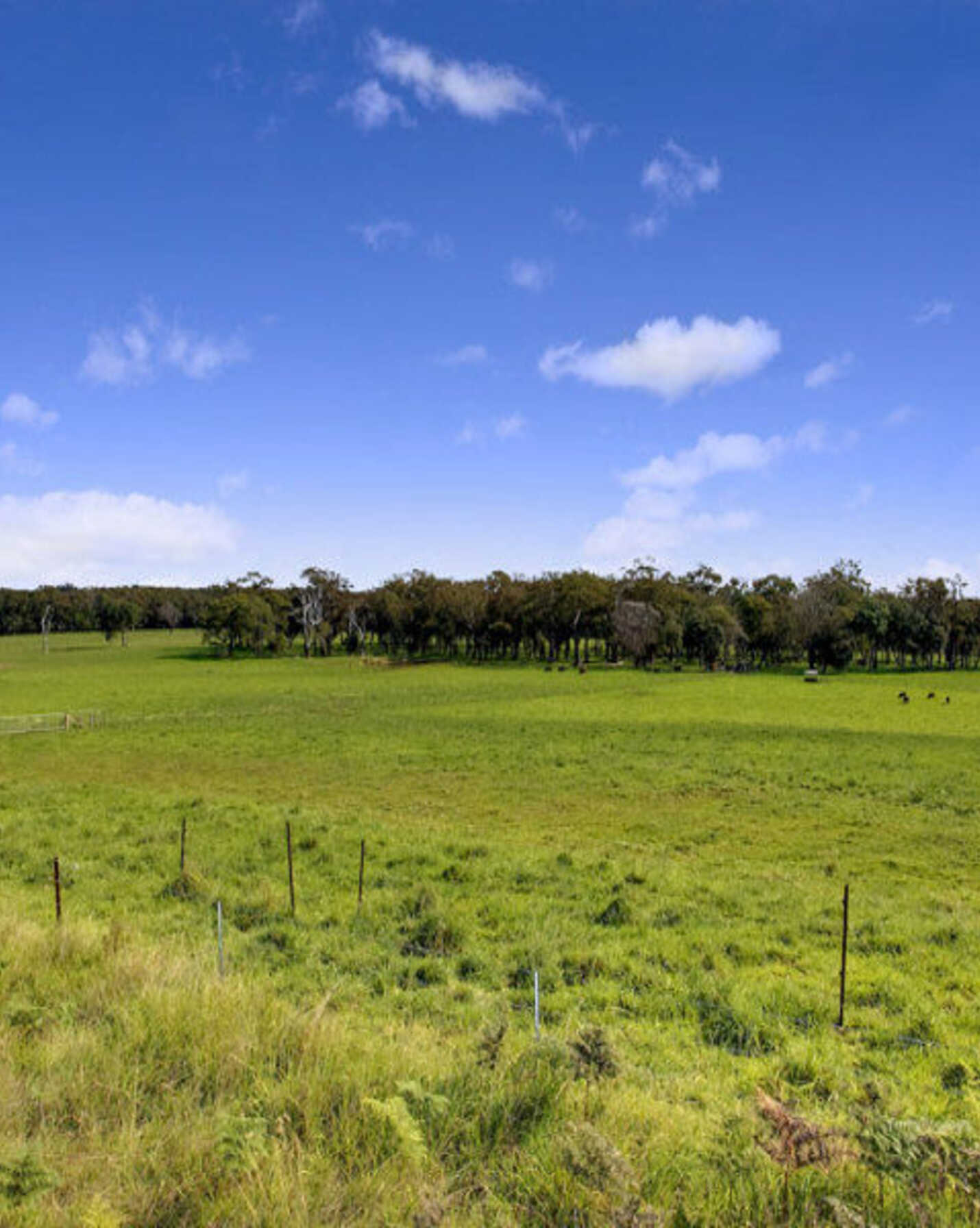674 'Eureka Pines' Nowra Road Moss Vale, Vale - Thumbnail 5