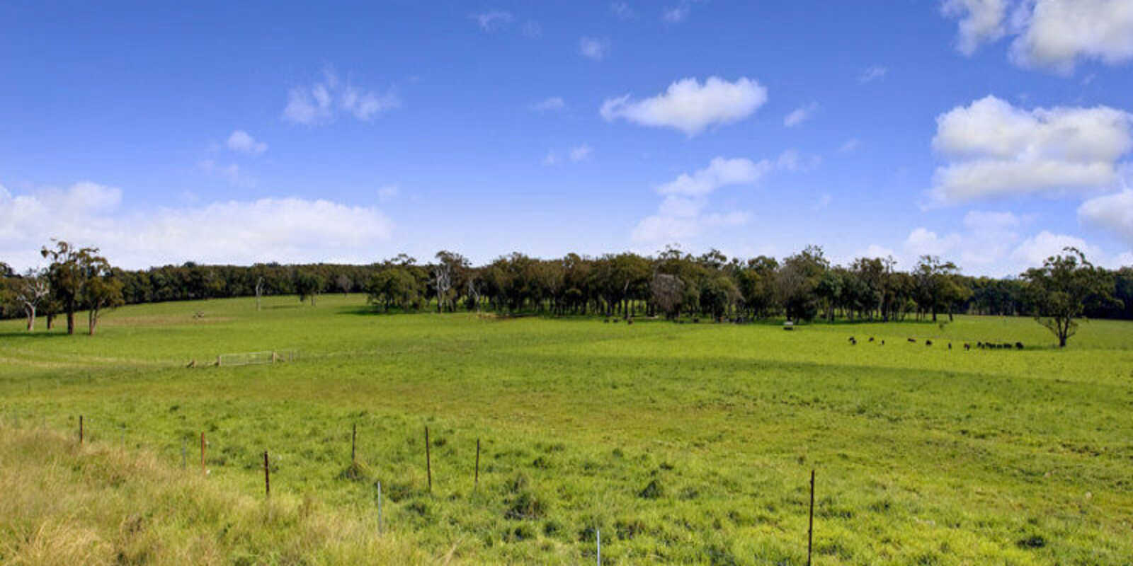 674 'Eureka Pines' Nowra Road Moss Vale 674 'Eureka Pines' Nowra Road Moss Vale