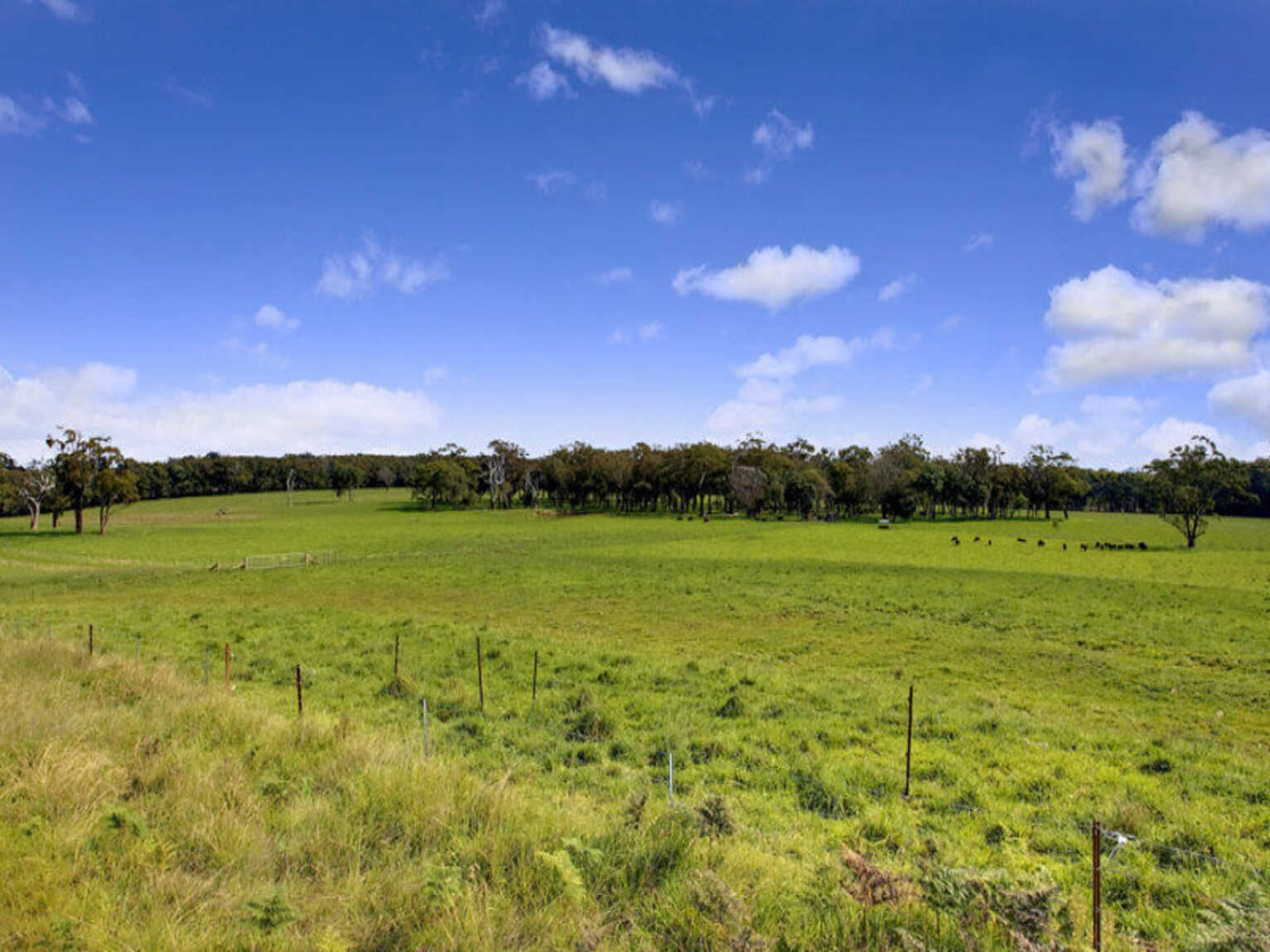 674 'Eureka Pines' Nowra Road Moss Vale 674 'Eureka Pines' Nowra Road Moss Vale