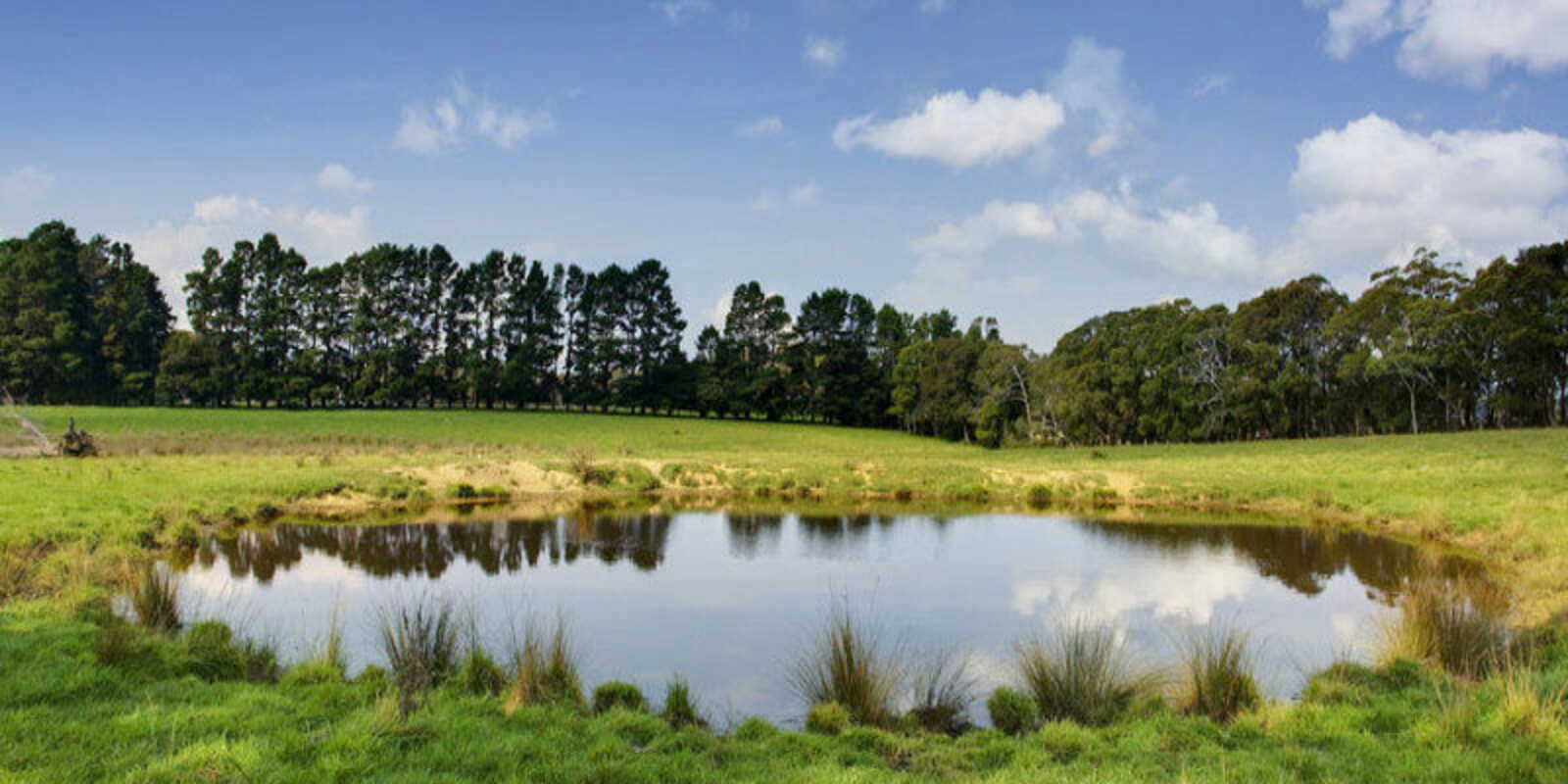 674 'Eureka Pines' Nowra Road Moss Vale 674 'Eureka Pines' Nowra Road Moss Vale