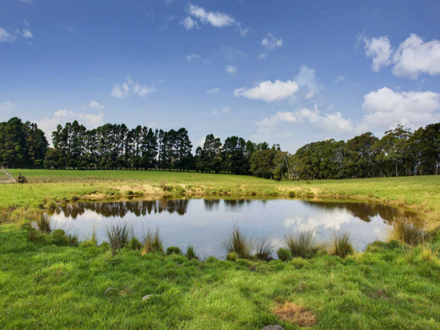 674 'Eureka Pines' Nowra Road Moss Vale 674 'Eureka Pines' Nowra Road Moss Vale