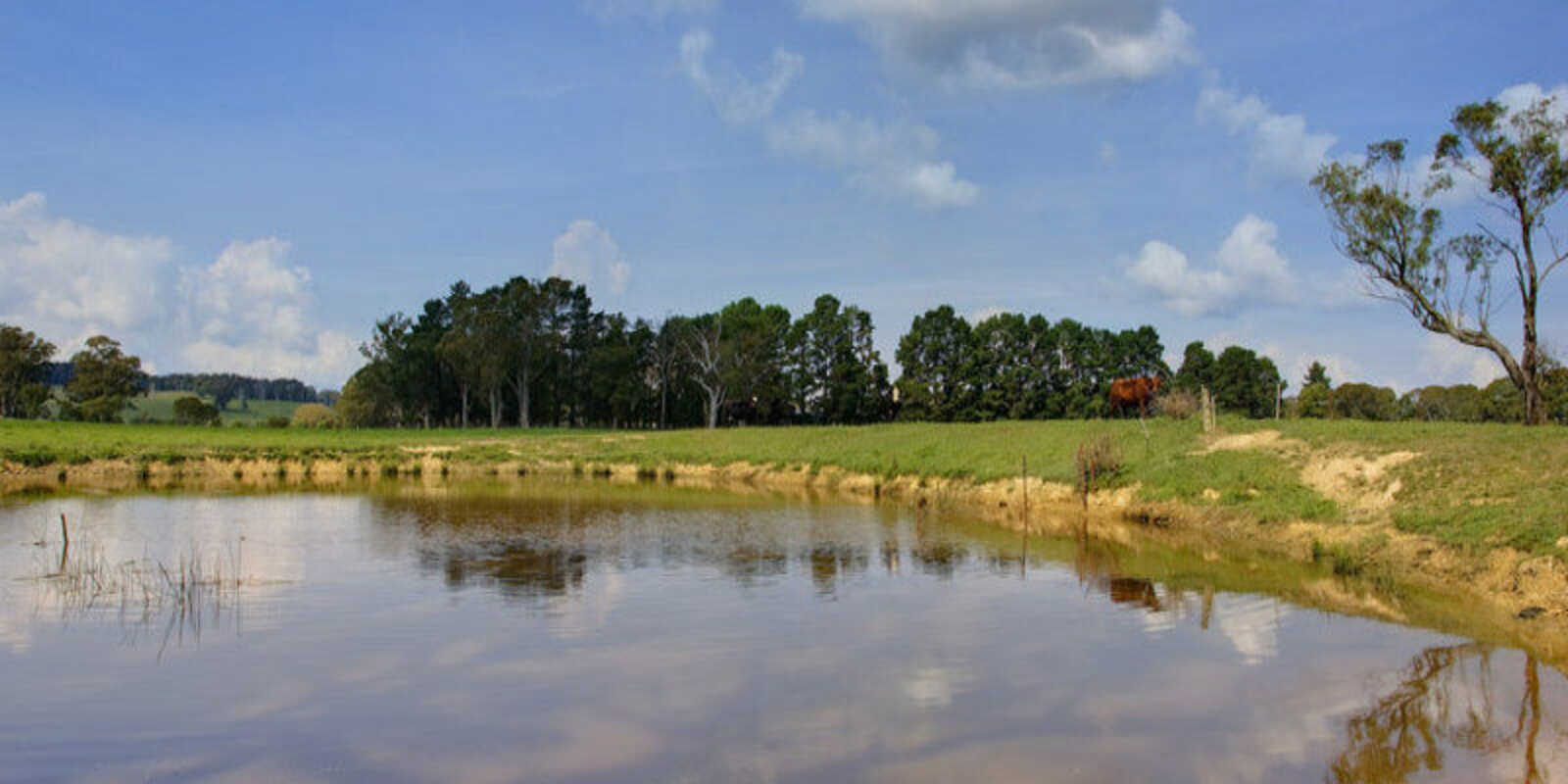 674 'Eureka Pines' Nowra Road Moss Vale 674 'Eureka Pines' Nowra Road Moss Vale