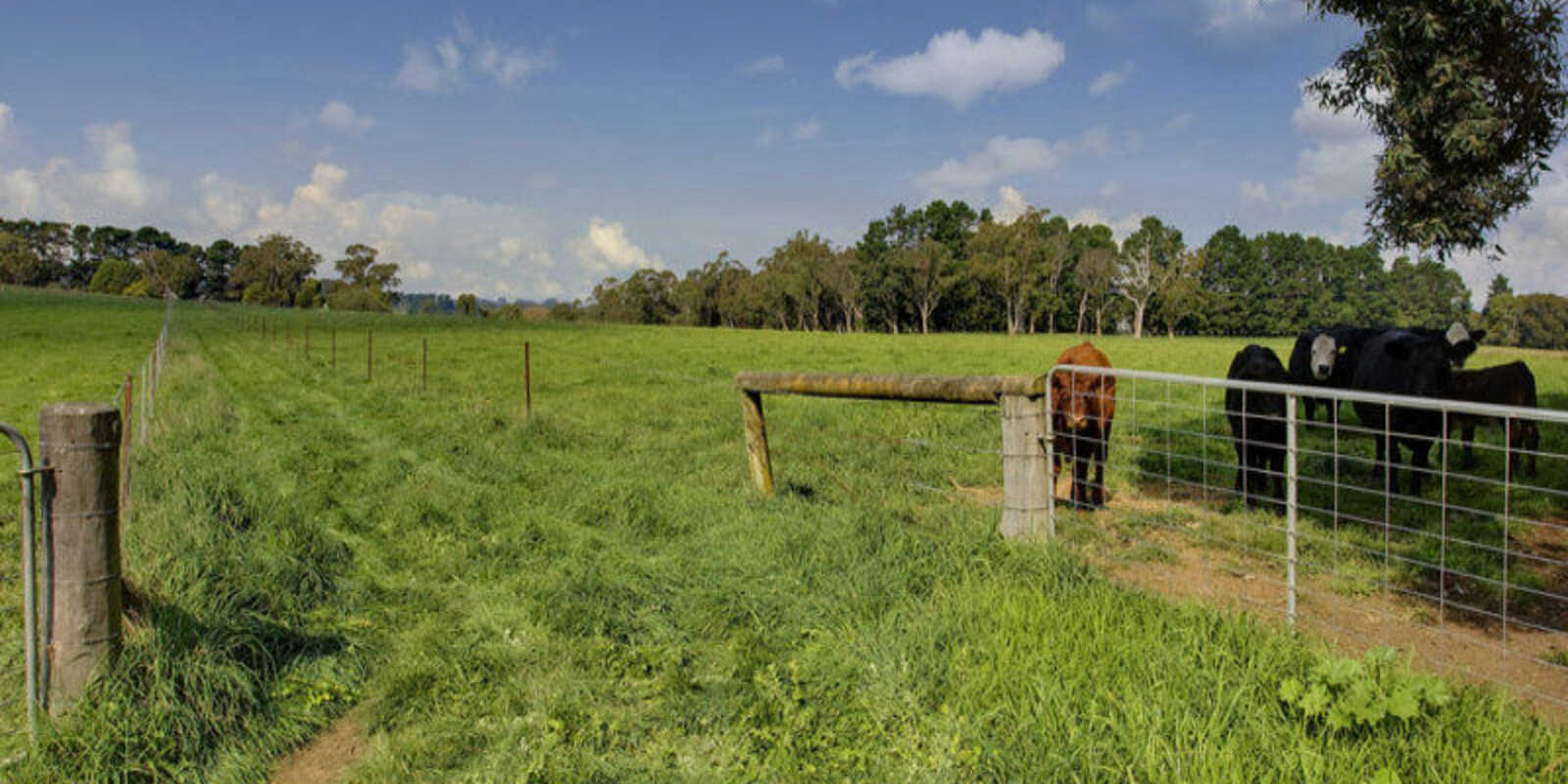 674 'Eureka Pines' Nowra Road Moss Vale 674 'Eureka Pines' Nowra Road Moss Vale