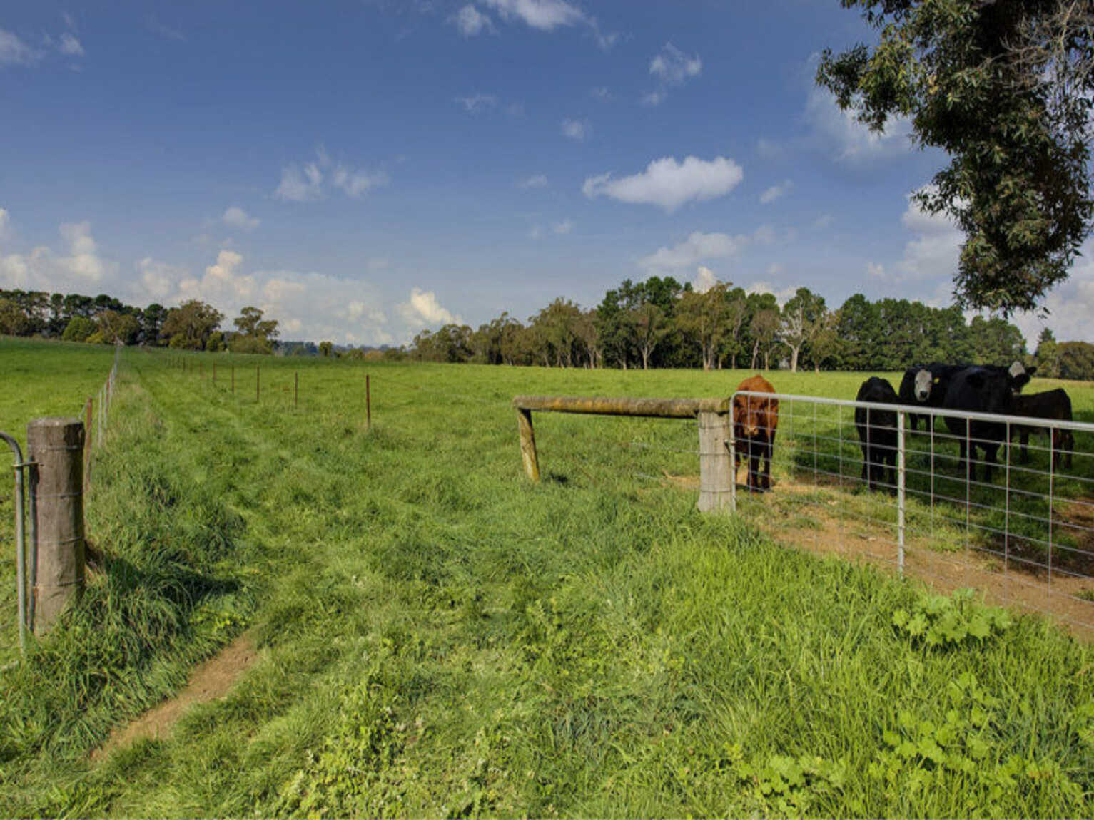 674 'Eureka Pines' Nowra Road Moss Vale 674 'Eureka Pines' Nowra Road Moss Vale