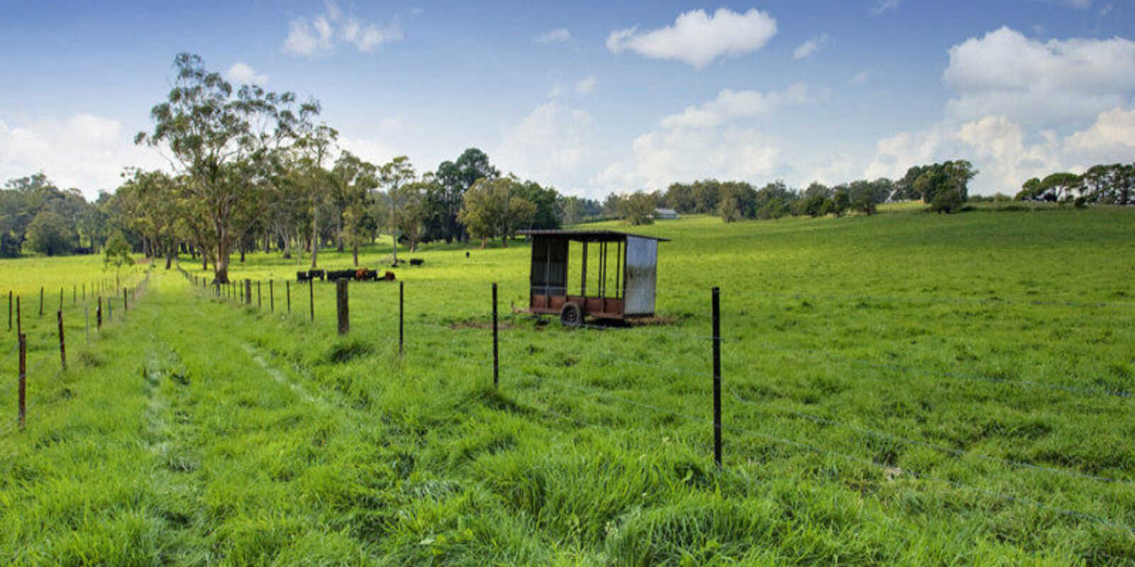 674 'Eureka Pines' Nowra Road Moss Vale 674 'Eureka Pines' Nowra Road Moss Vale