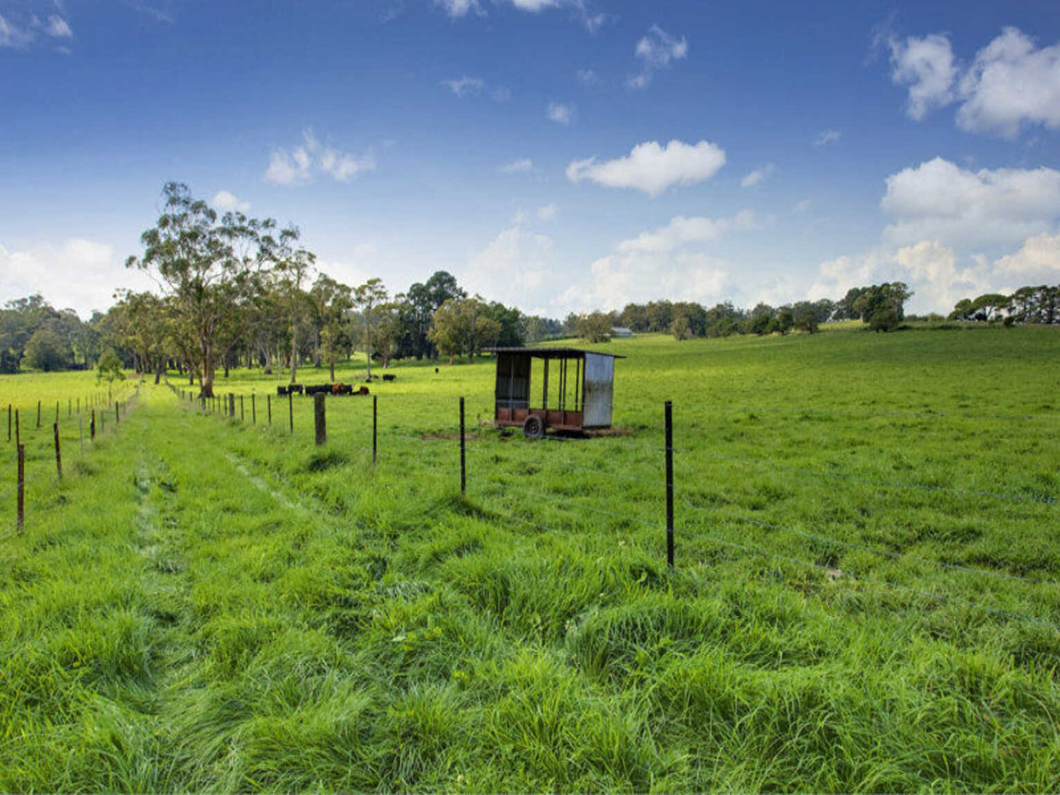 674 'Eureka Pines' Nowra Road Moss Vale 674 'Eureka Pines' Nowra Road Moss Vale