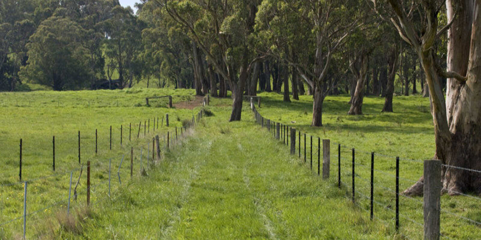 674 'Eureka Pines' Nowra Road Moss Vale 674 'Eureka Pines' Nowra Road Moss Vale