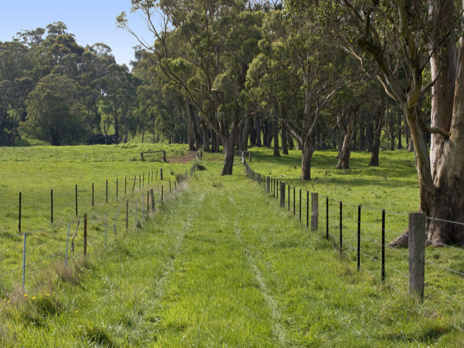 674 'Eureka Pines' Nowra Road Moss Vale 674 'Eureka Pines' Nowra Road Moss Vale