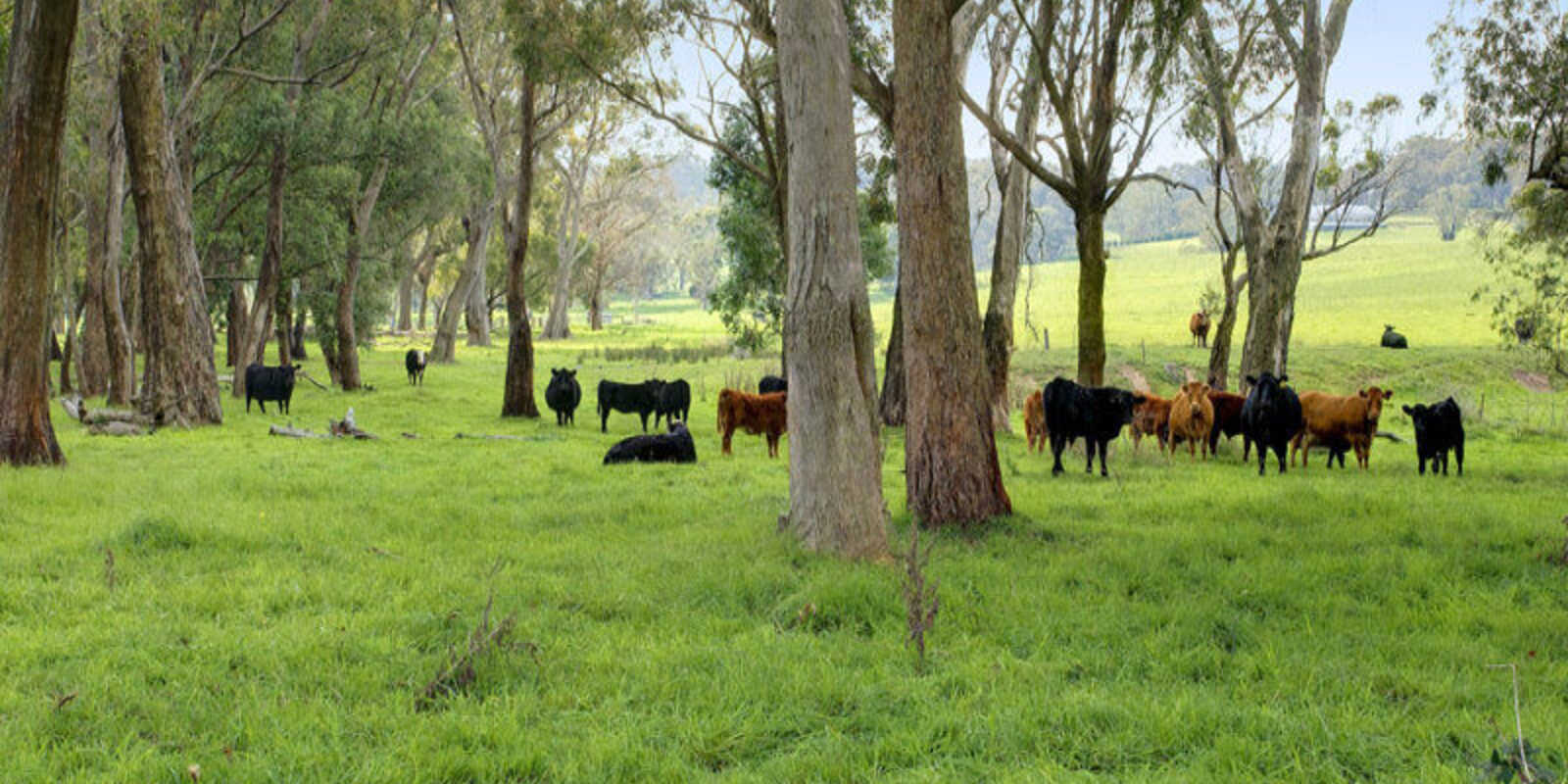 674 'Eureka Pines' Nowra Road Moss Vale 674 'Eureka Pines' Nowra Road Moss Vale