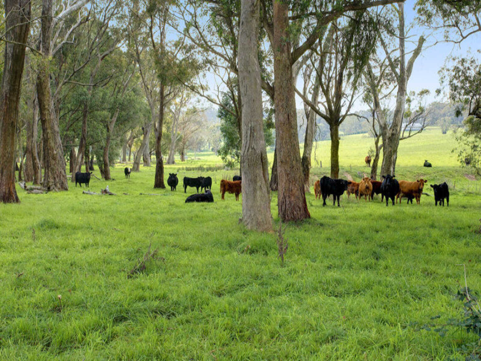 674 'Eureka Pines' Nowra Road Moss Vale 674 'Eureka Pines' Nowra Road Moss Vale