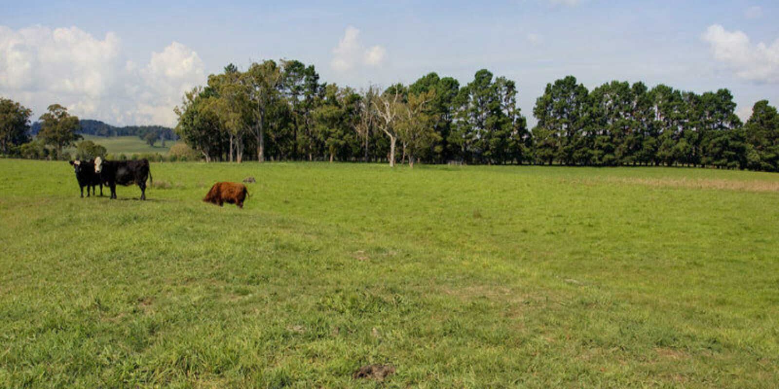 674 'Eureka Pines' Nowra Road Moss Vale 674 'Eureka Pines' Nowra Road Moss Vale