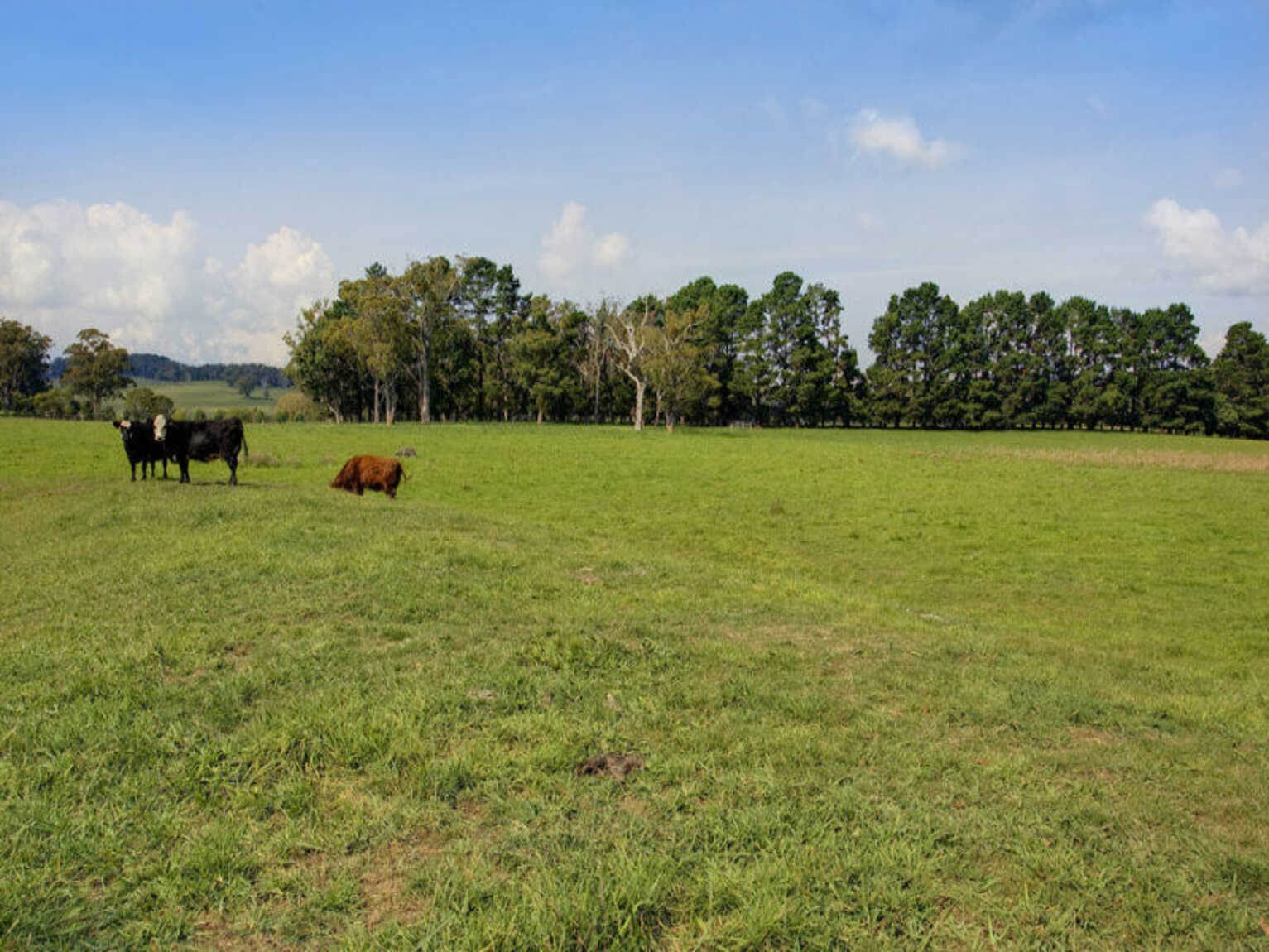 674 'Eureka Pines' Nowra Road Moss Vale 674 'Eureka Pines' Nowra Road Moss Vale