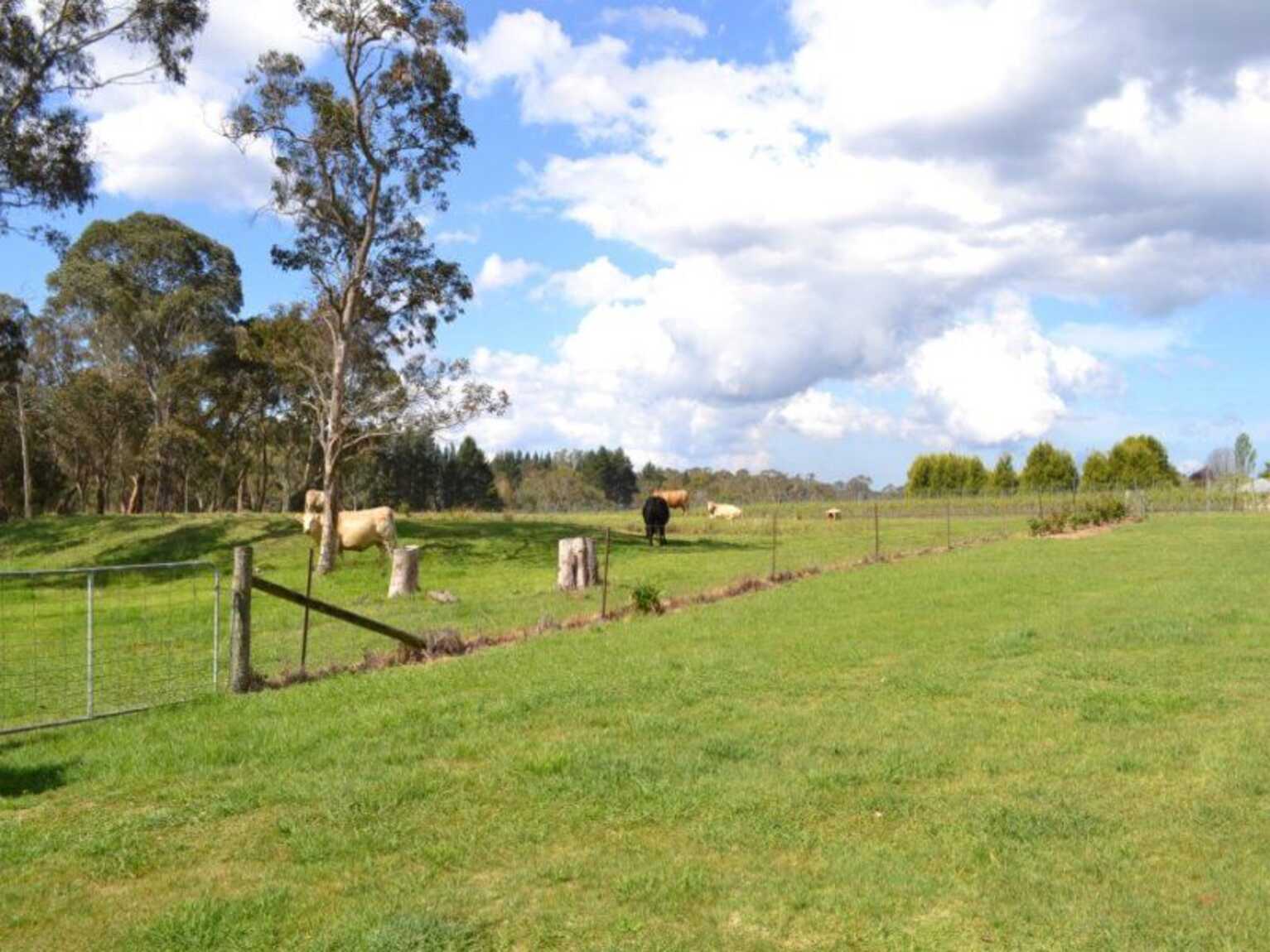 165 Aylmerton Road Mittagong 165 Aylmerton Road Mittagong