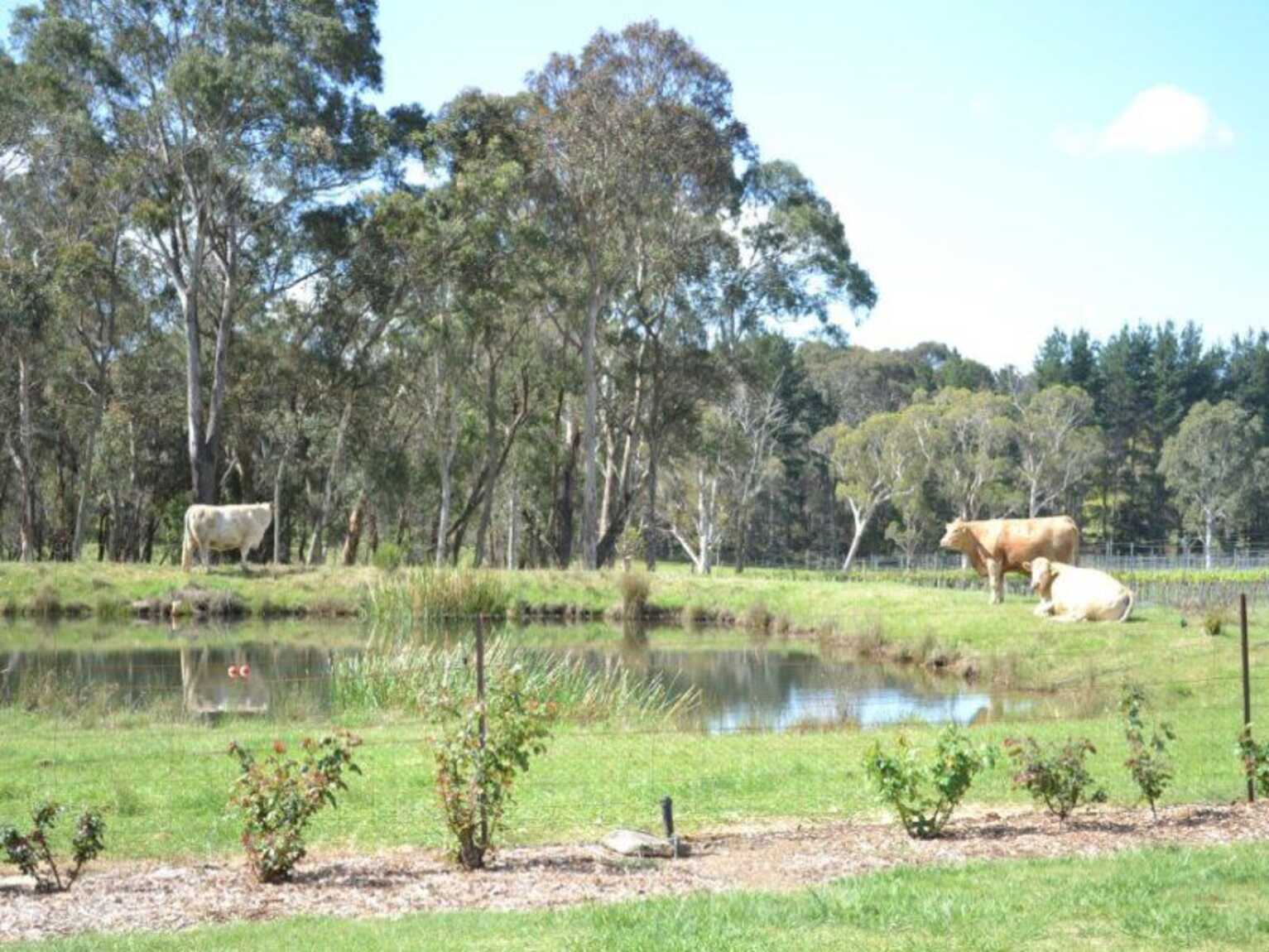 165 Aylmerton Road Mittagong 165 Aylmerton Road Mittagong