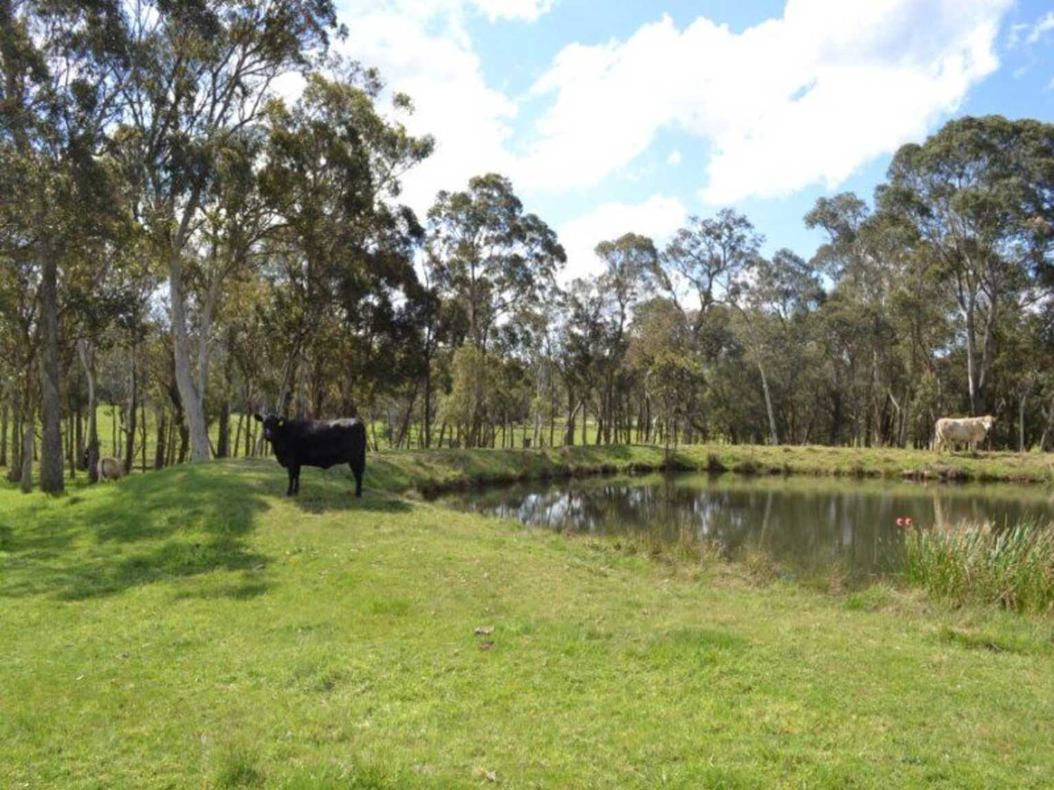 165 Aylmerton Road Mittagong 165 Aylmerton Road Mittagong