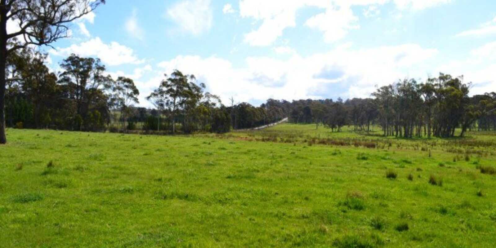 165 Aylmerton Road Mittagong 165 Aylmerton Road Mittagong