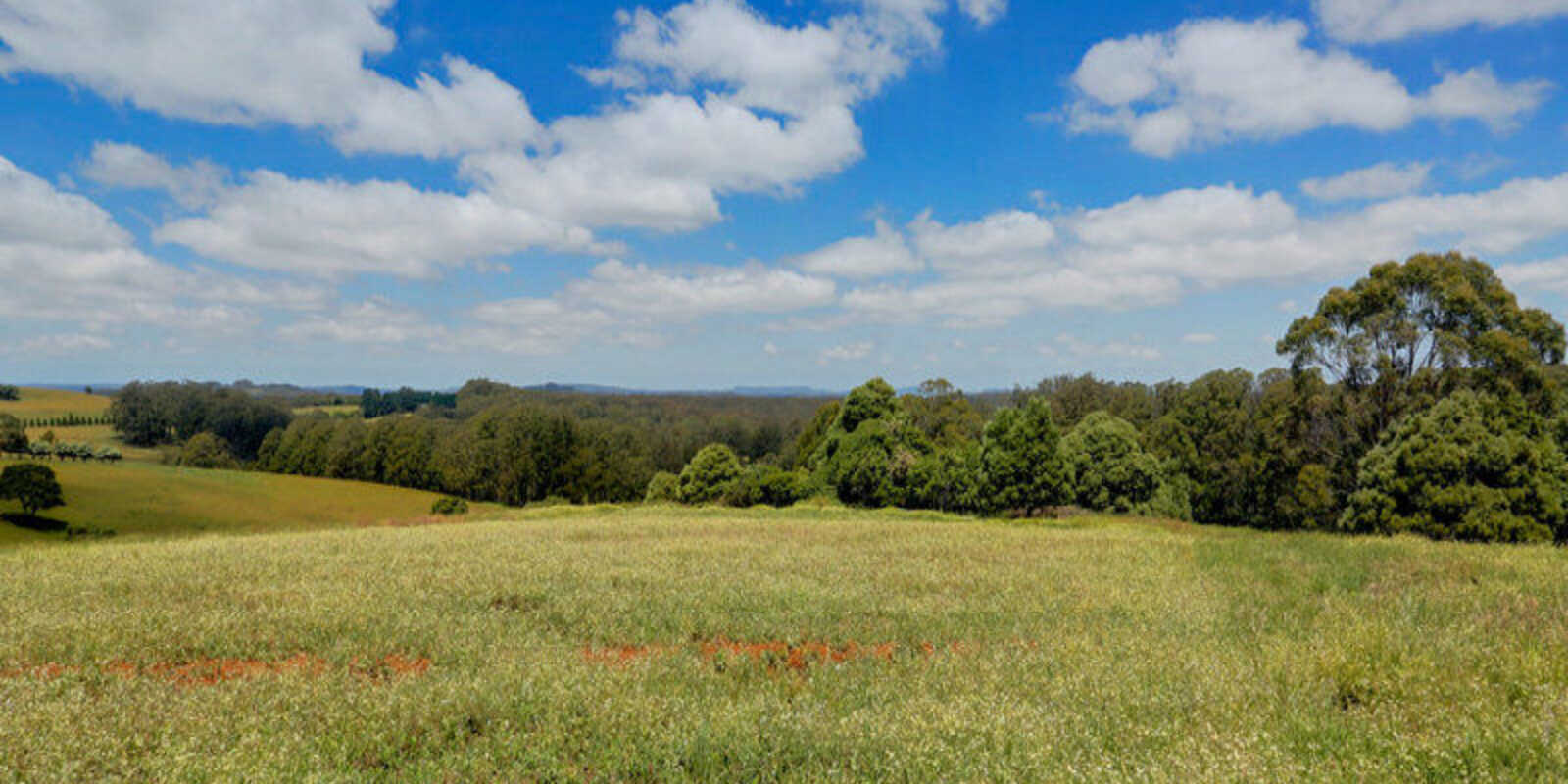 1260 Belmore Falls Road Wildes Meadow 1260 Belmore Falls Road Wildes Meadow