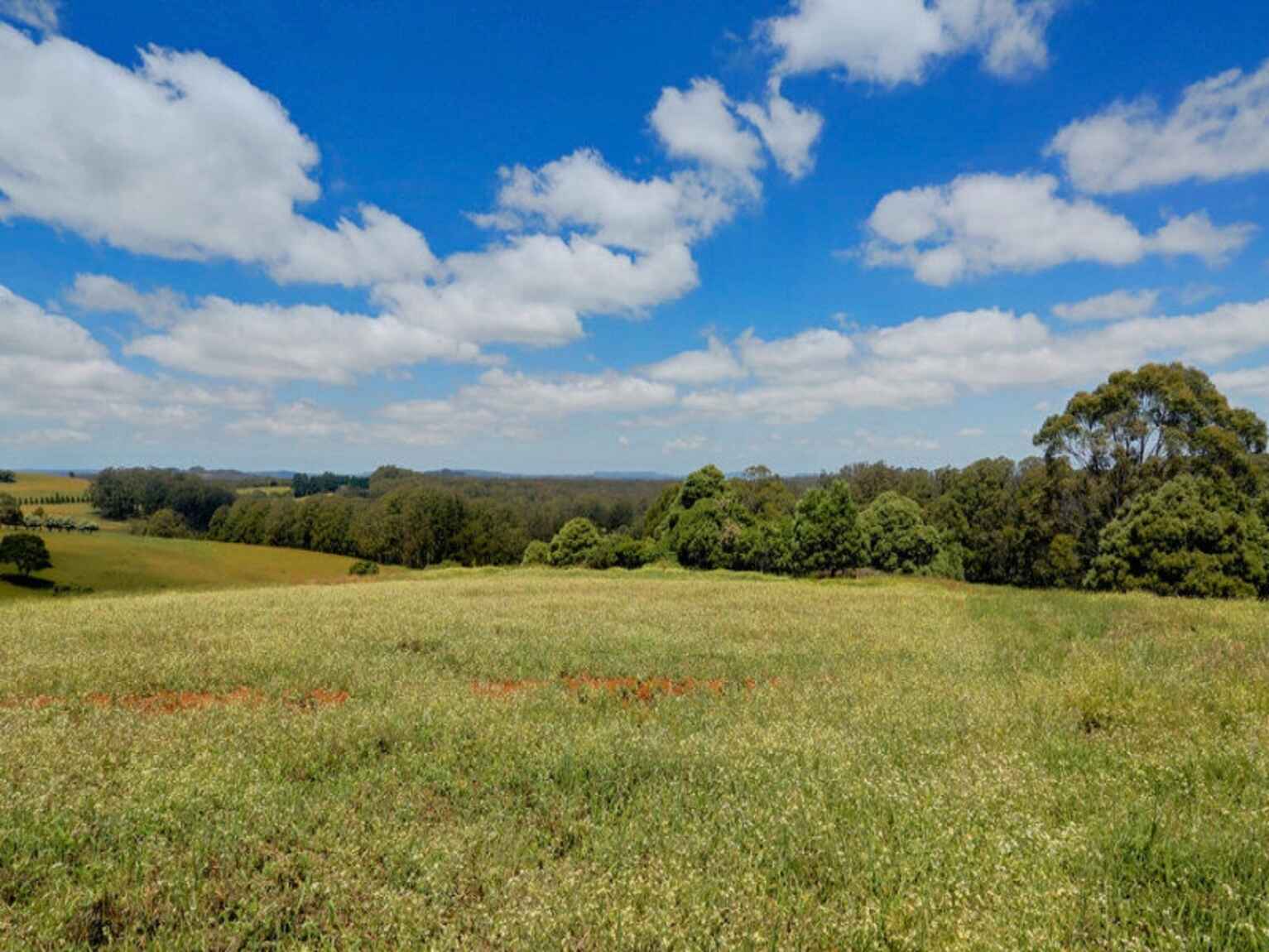 1260 Belmore Falls Road Wildes Meadow 1260 Belmore Falls Road Wildes Meadow