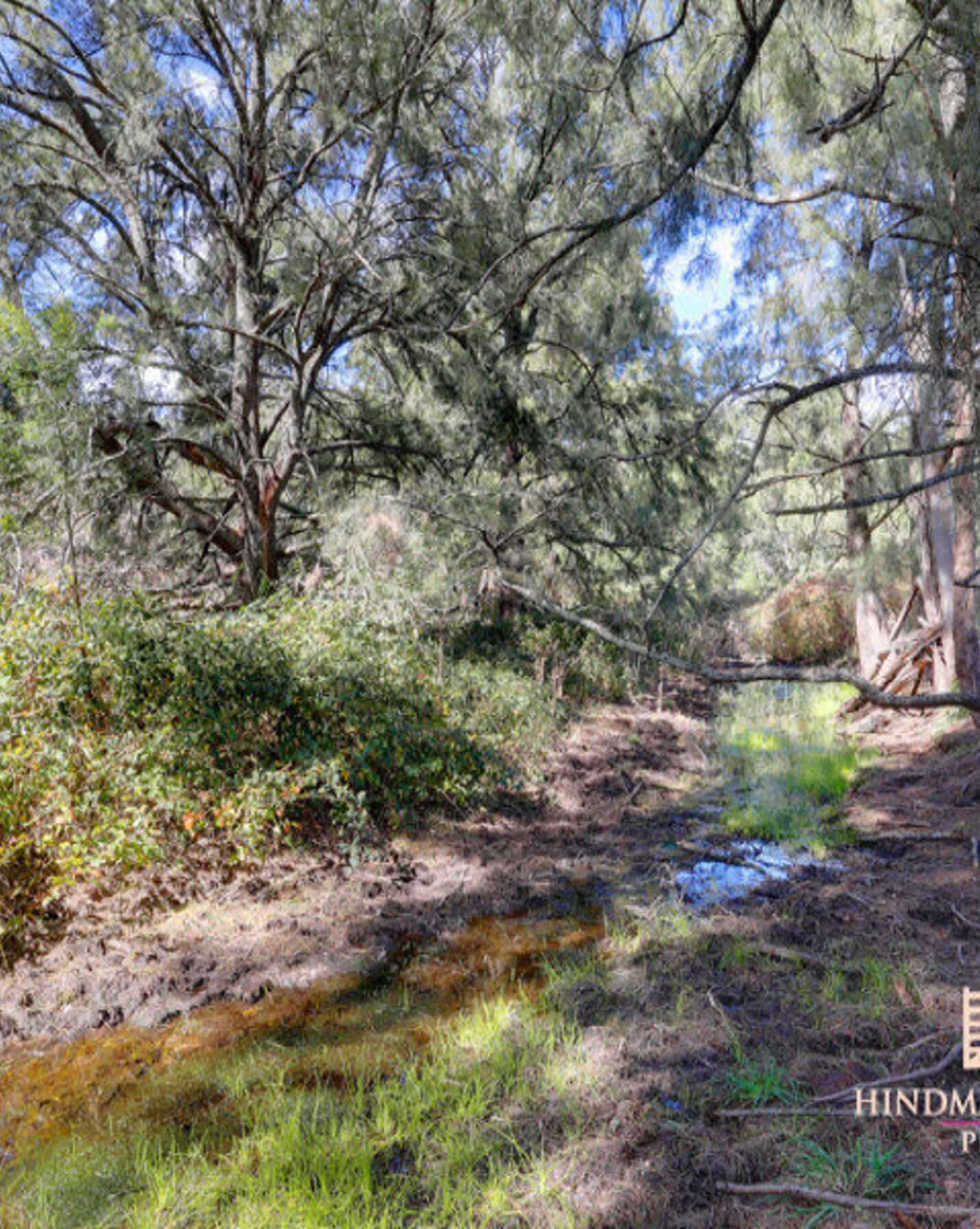 Lot 5 Wombeyan Caves Road Bullio, Bullio - Thumbnail 5