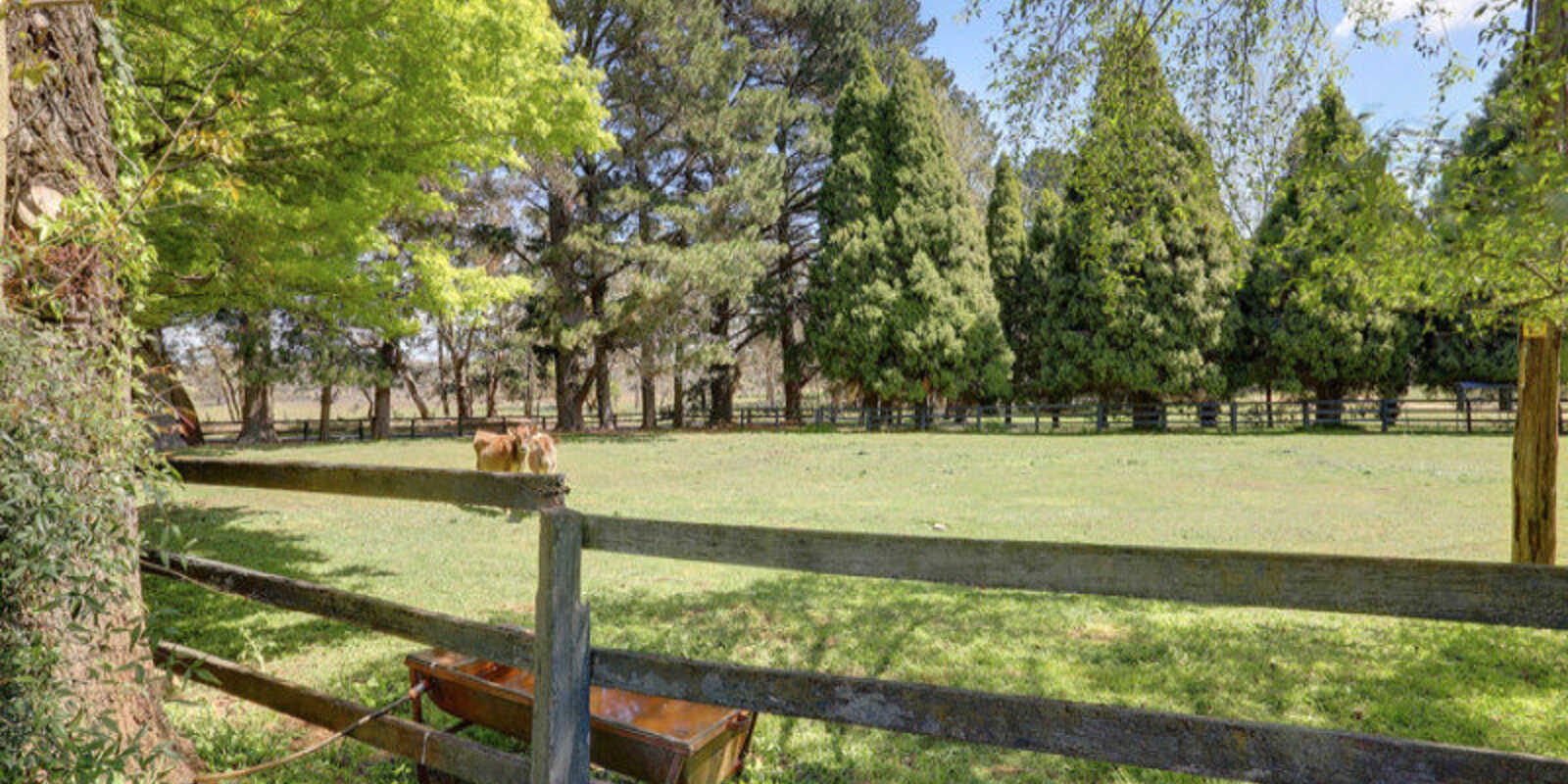925 Nowra Road Fitzroy Falls