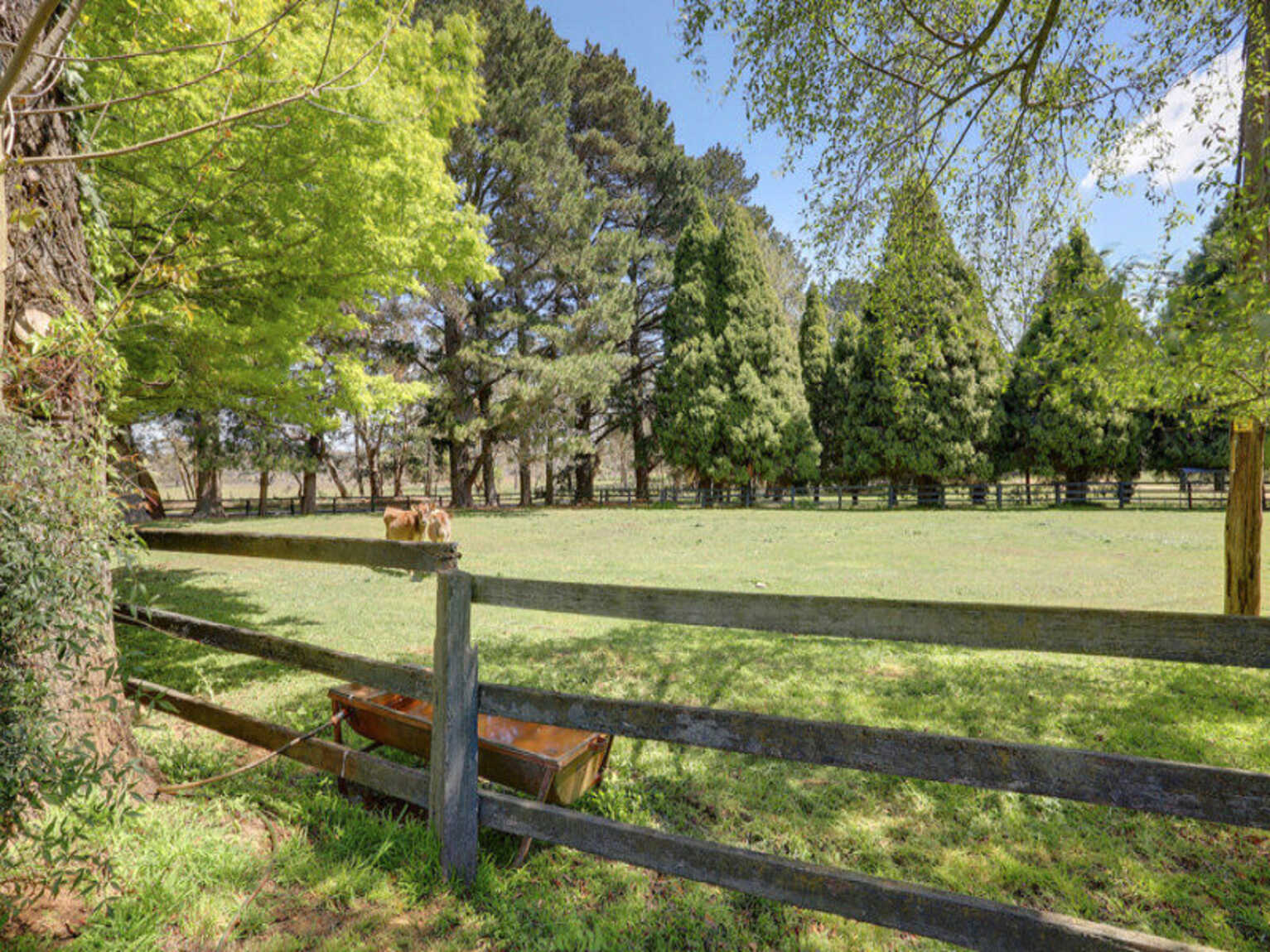 925 Nowra Road Fitzroy Falls