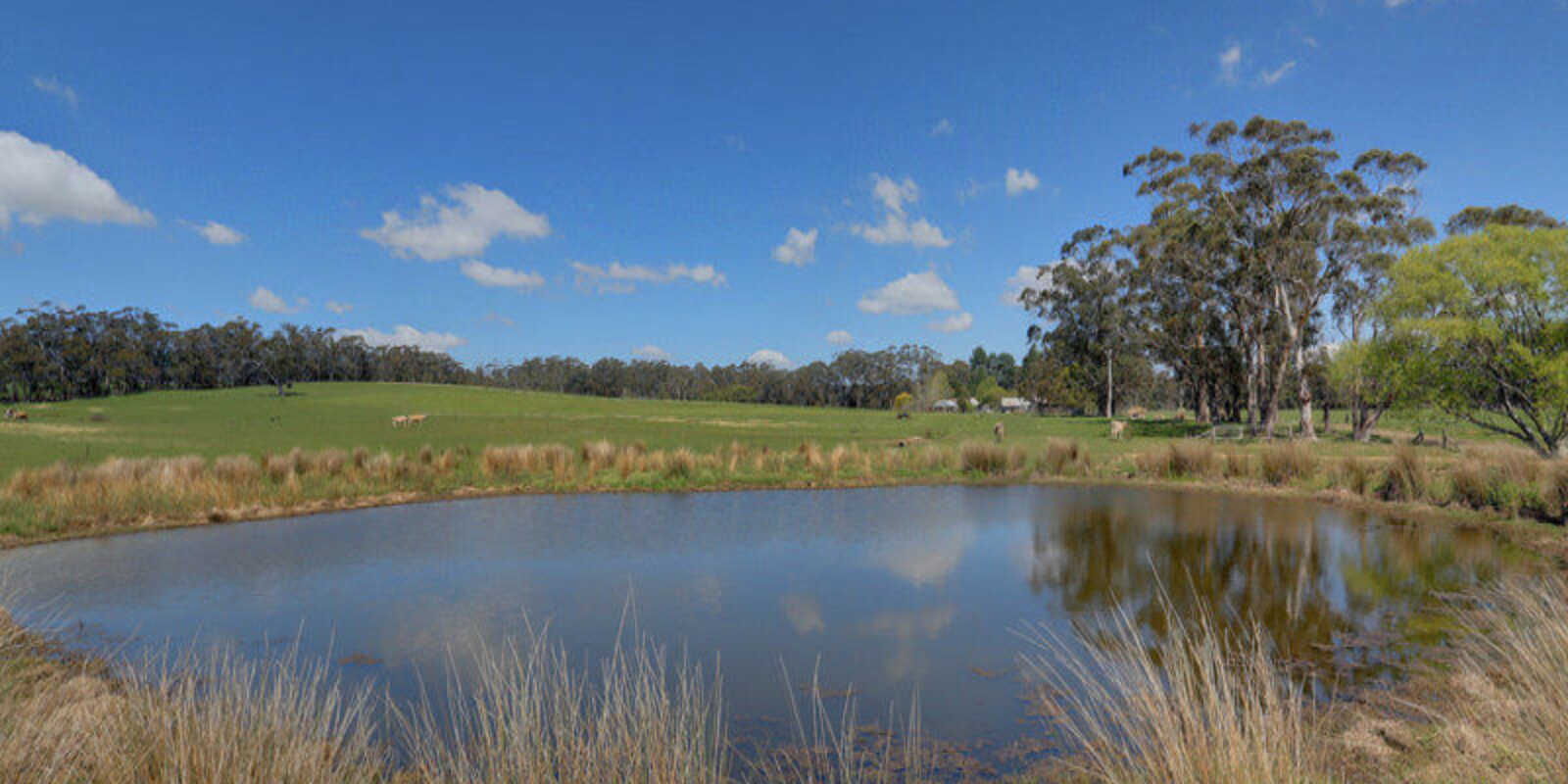 925 Nowra Road Fitzroy Falls