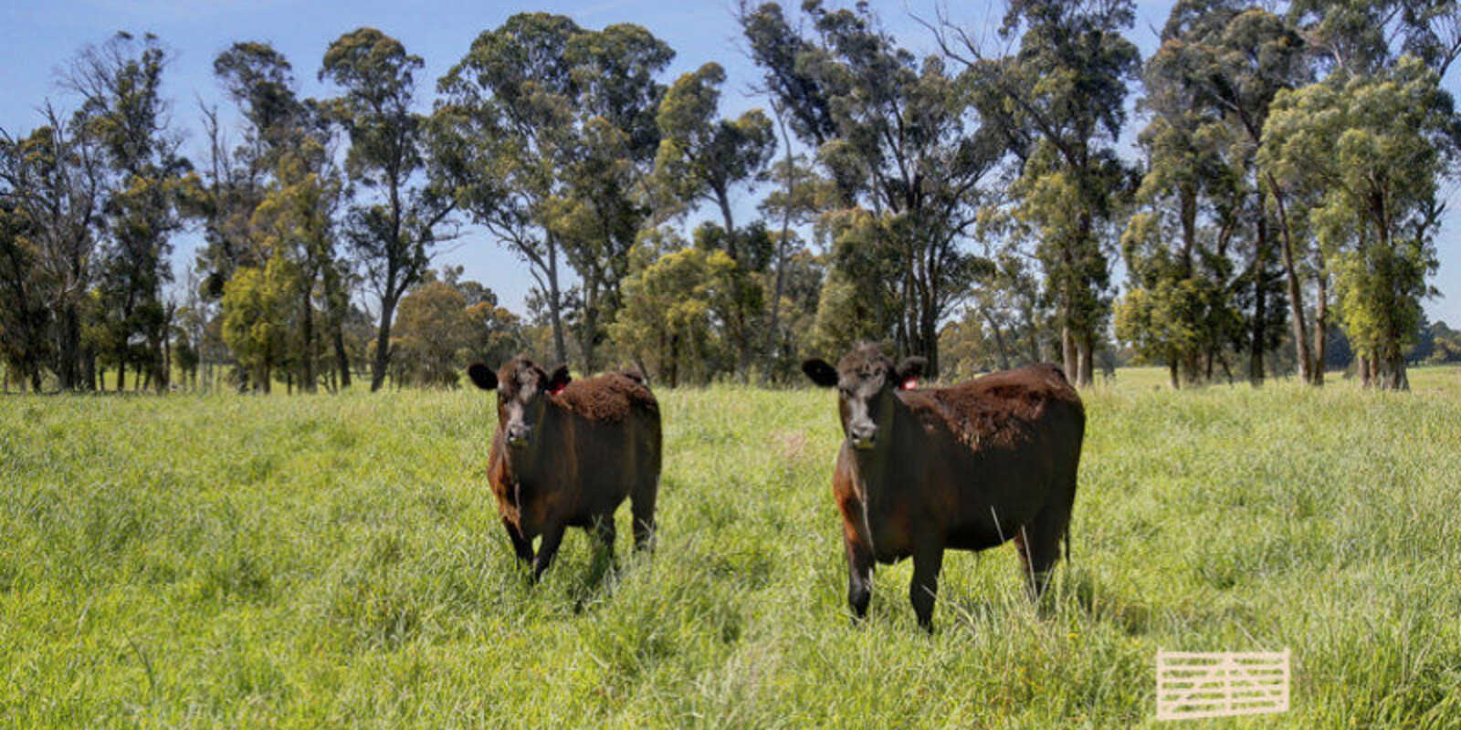 Lot 318 Illawarra Highway Moss Vale Lot 318 Illawarra Highway Moss Vale