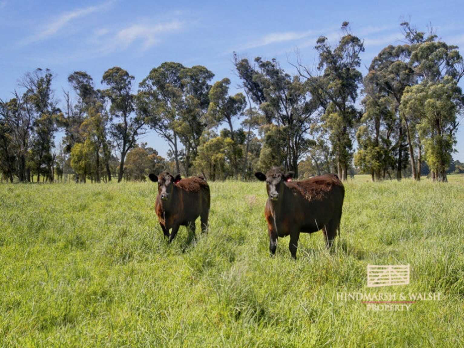 Lot 318 Illawarra Highway Moss Vale Lot 318 Illawarra Highway Moss Vale