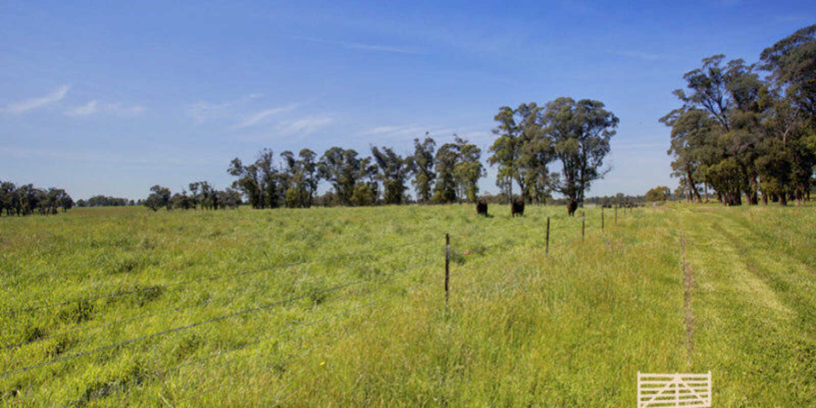 Lot 318 Illawarra Highway Moss Vale Lot 318 Illawarra Highway Moss Vale