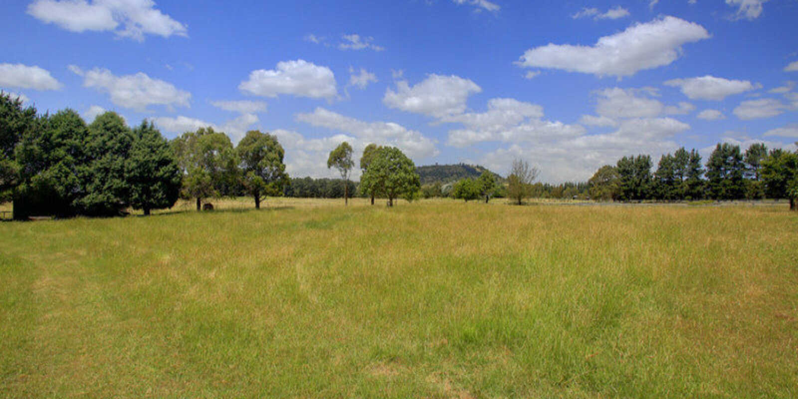 480 Golden Vale Road Sutton Forest 480 Golden Vale Road Sutton Forest
