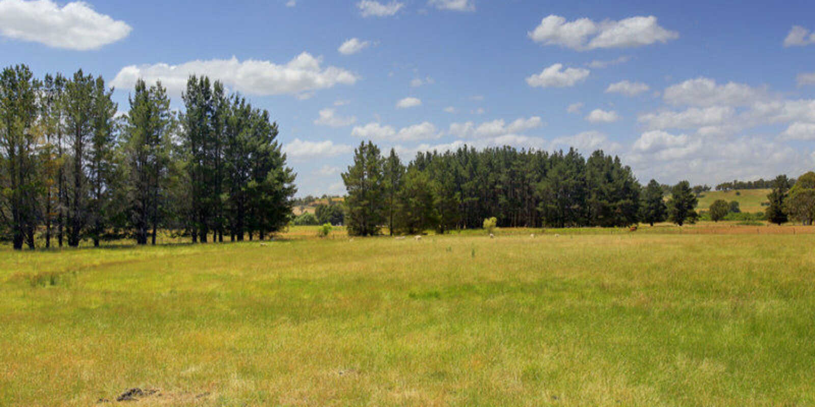 480 Golden Vale Road Sutton Forest 480 Golden Vale Road Sutton Forest