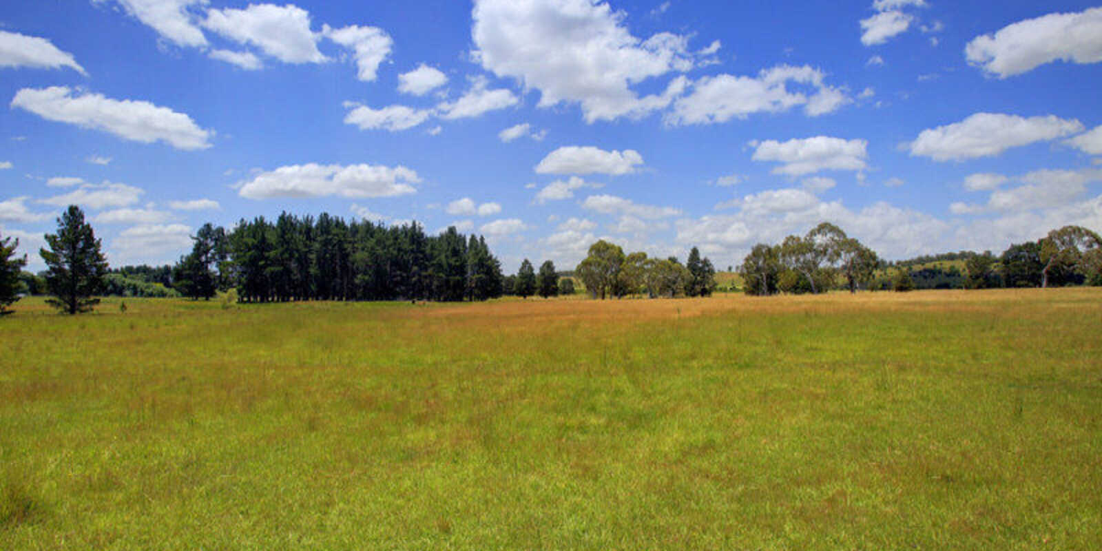 480 Golden Vale Road Sutton Forest 480 Golden Vale Road Sutton Forest