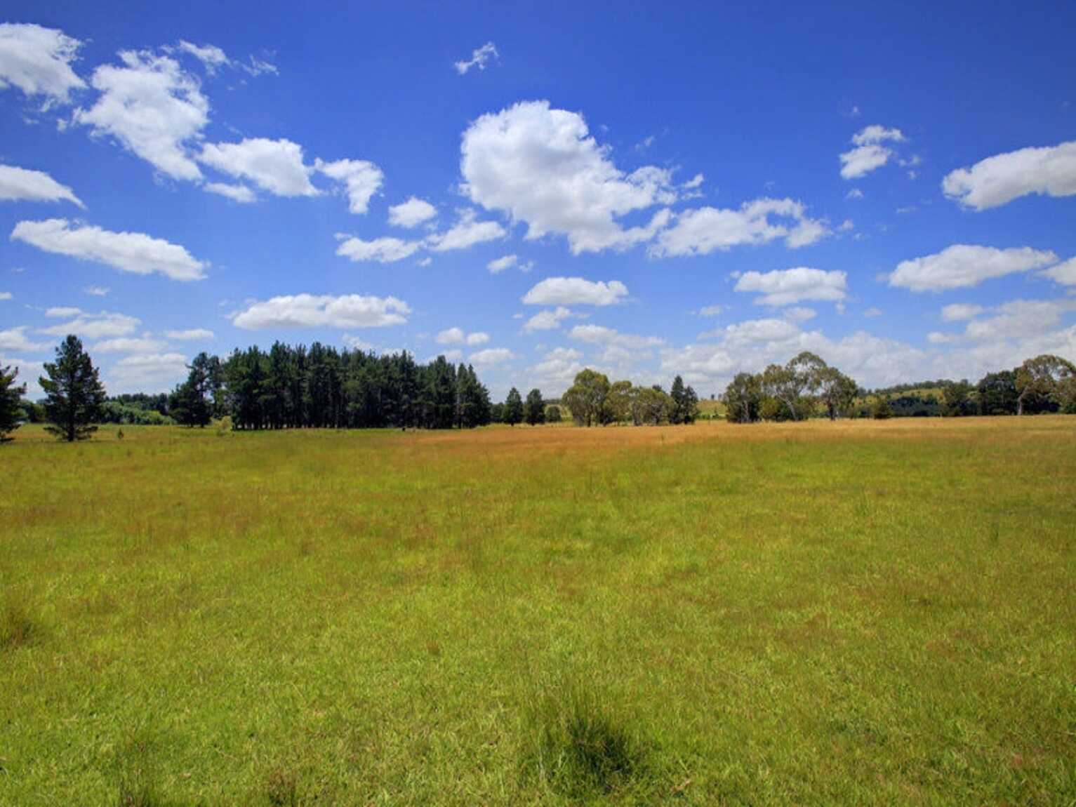480 Golden Vale Road Sutton Forest 480 Golden Vale Road Sutton Forest