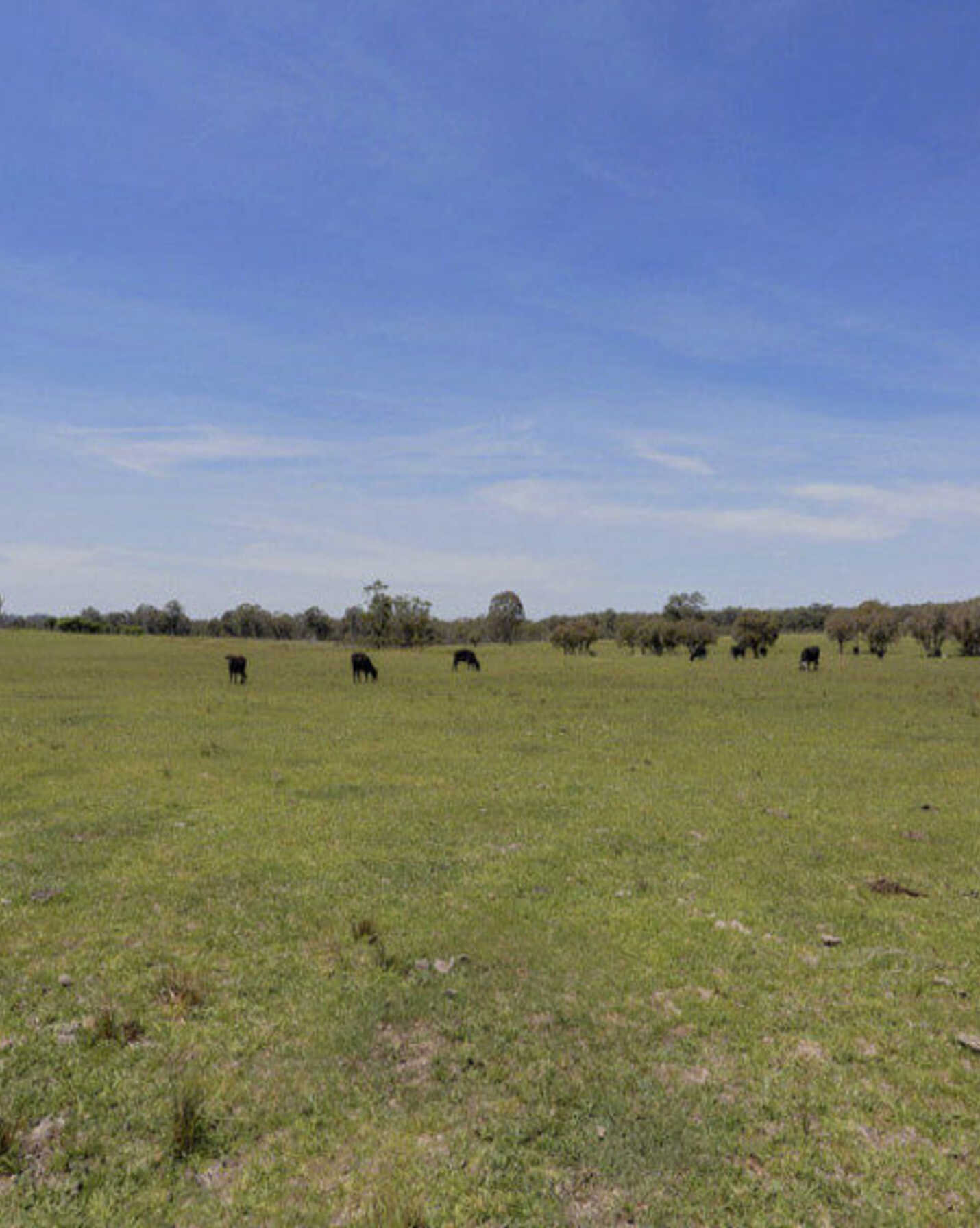 Lot 2 Wombeyan Caves Road High Range, Range - Thumbnail 5
