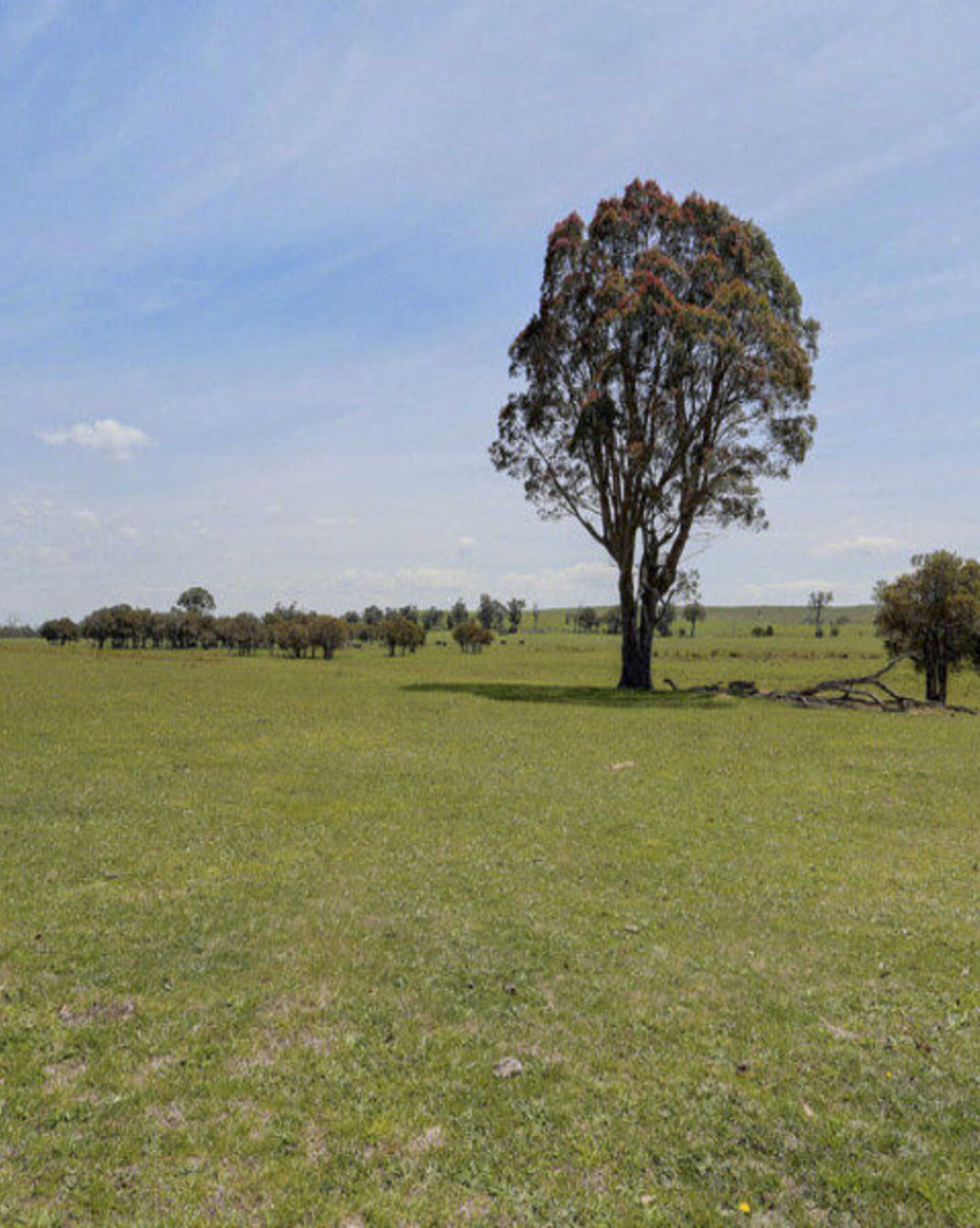 Lot 2 Wombeyan Caves Road High Range, Range - Thumbnail 7