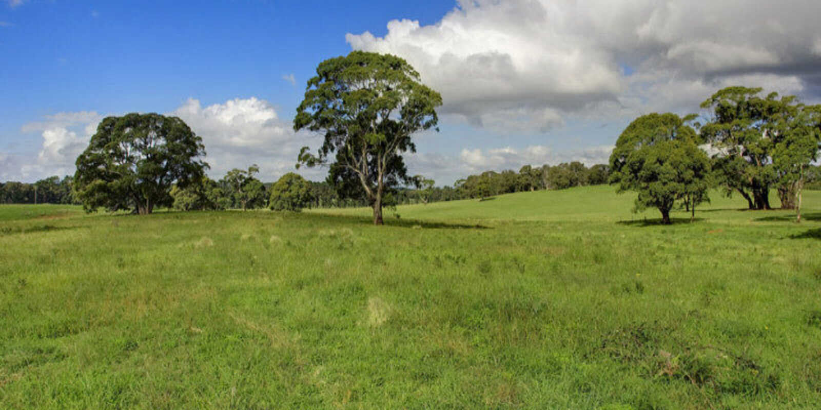 Lot 1 Bumballa Road Wingello Lot 1 Bumballa Road Wingello