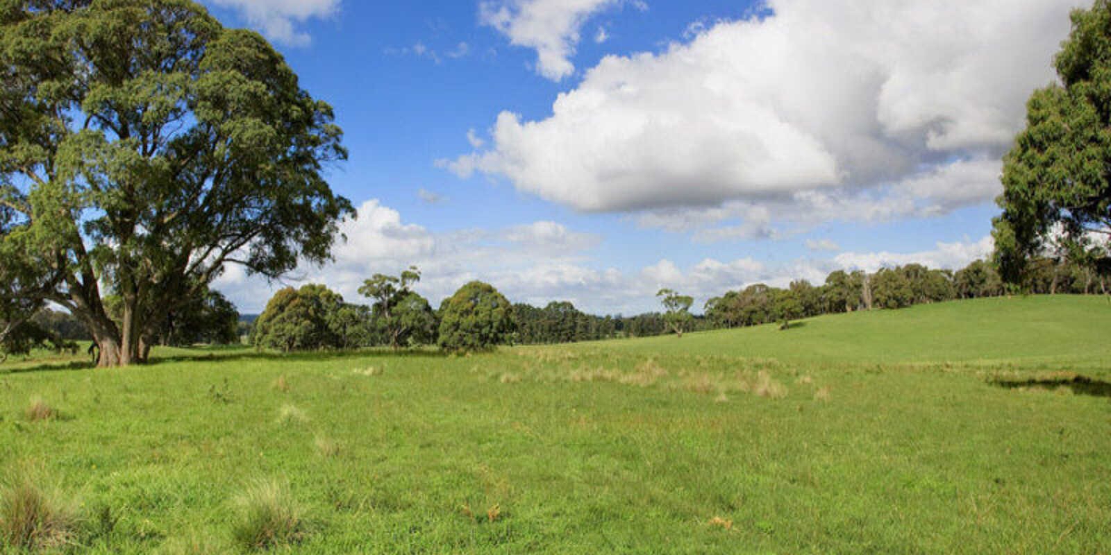 Lot 1 Bumballa Road Wingello Lot 1 Bumballa Road Wingello