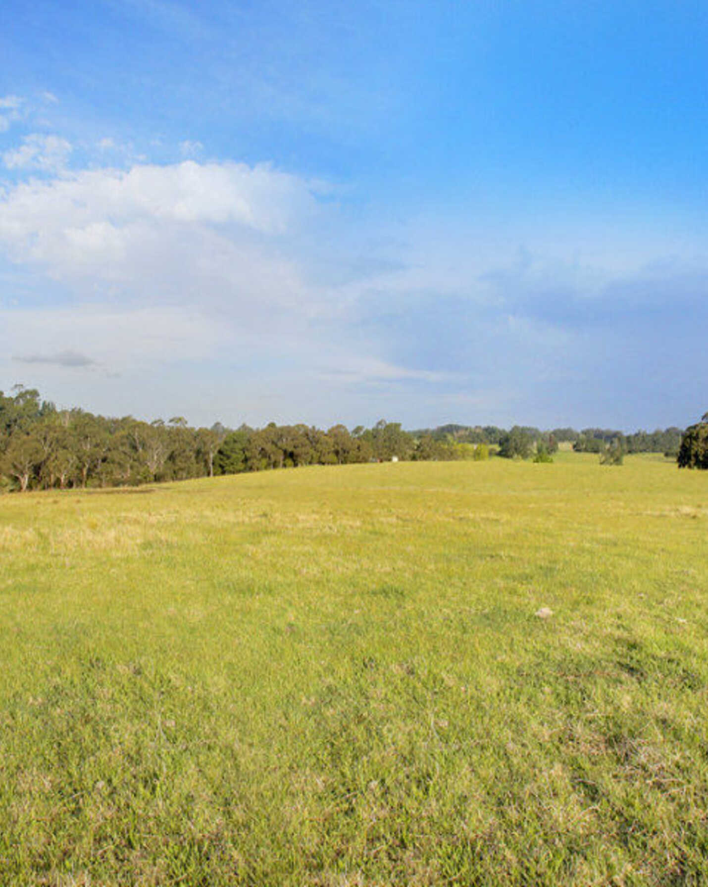 Lot 6 Ellsmore Road Exeter, Exeter - Thumbnail 2