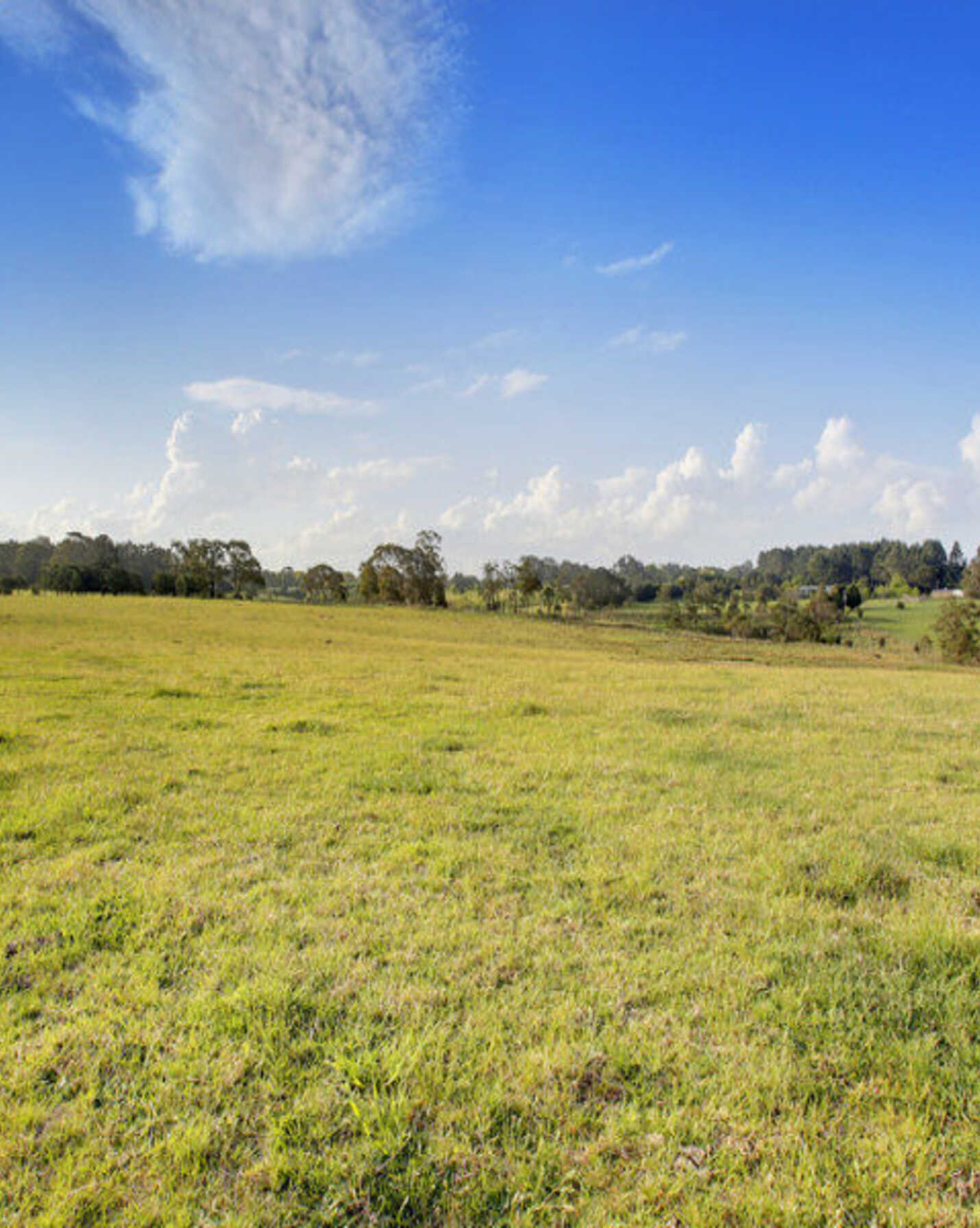 Lot 6 Ellsmore Road Exeter, Exeter - Thumbnail 3