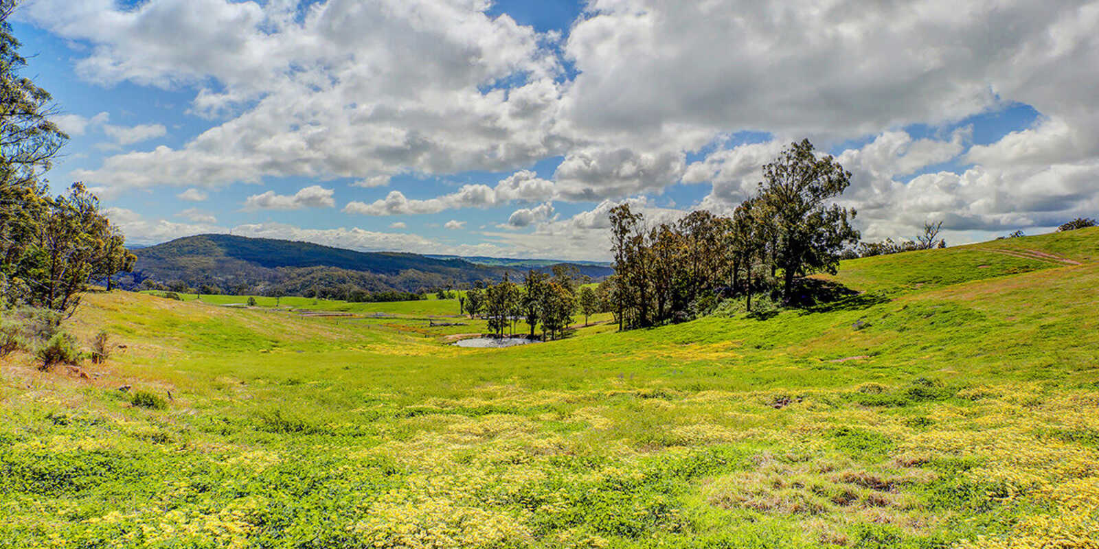 315 Nandi Road Canyonleigh 315 Nandi Road Canyonleigh